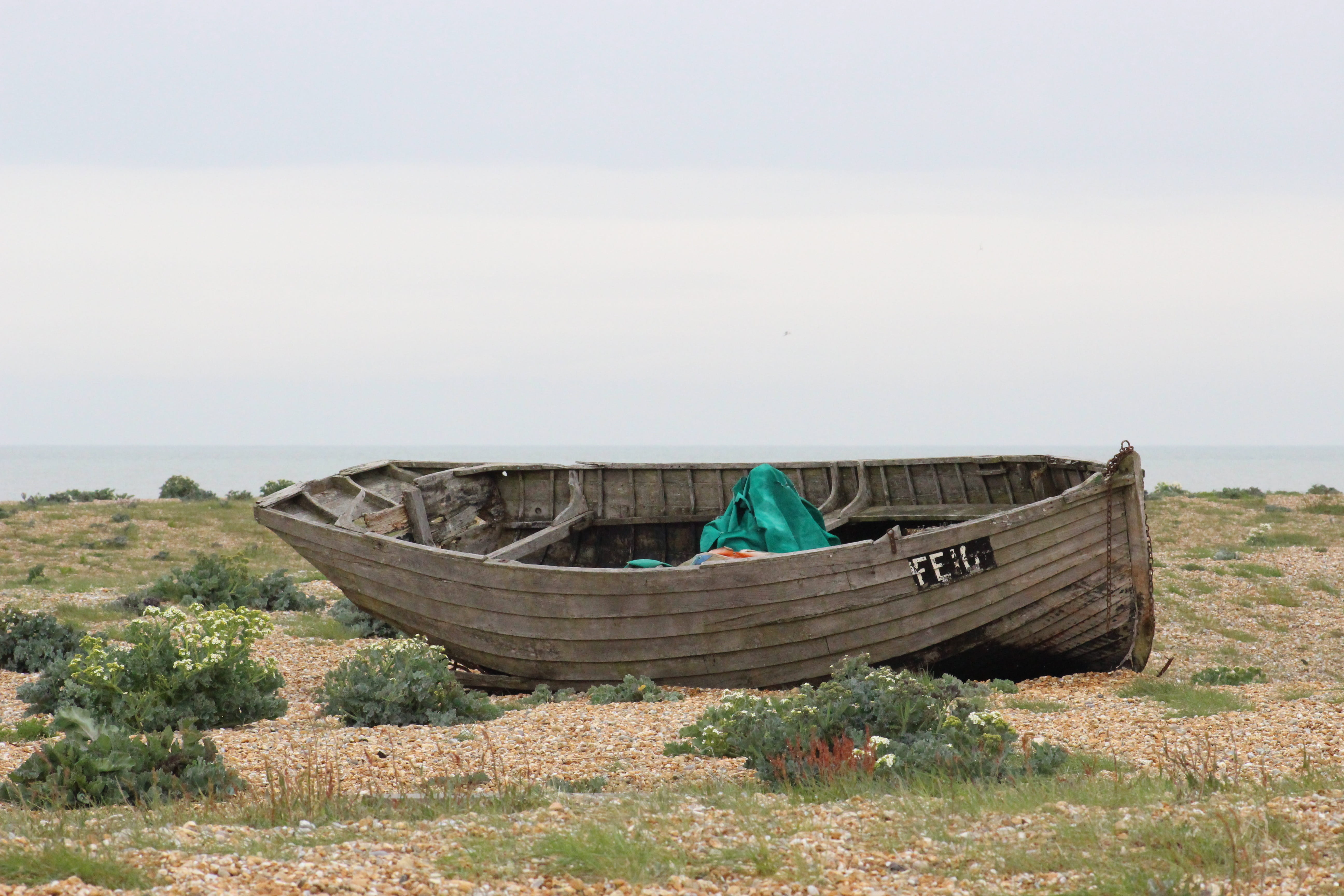 old boat, landscape, abandoned, non-urban scene, dungeness, clear sky, plant, nature, beauty in nature, water, mode of transportation, old, tranquility, HD Wallpaper