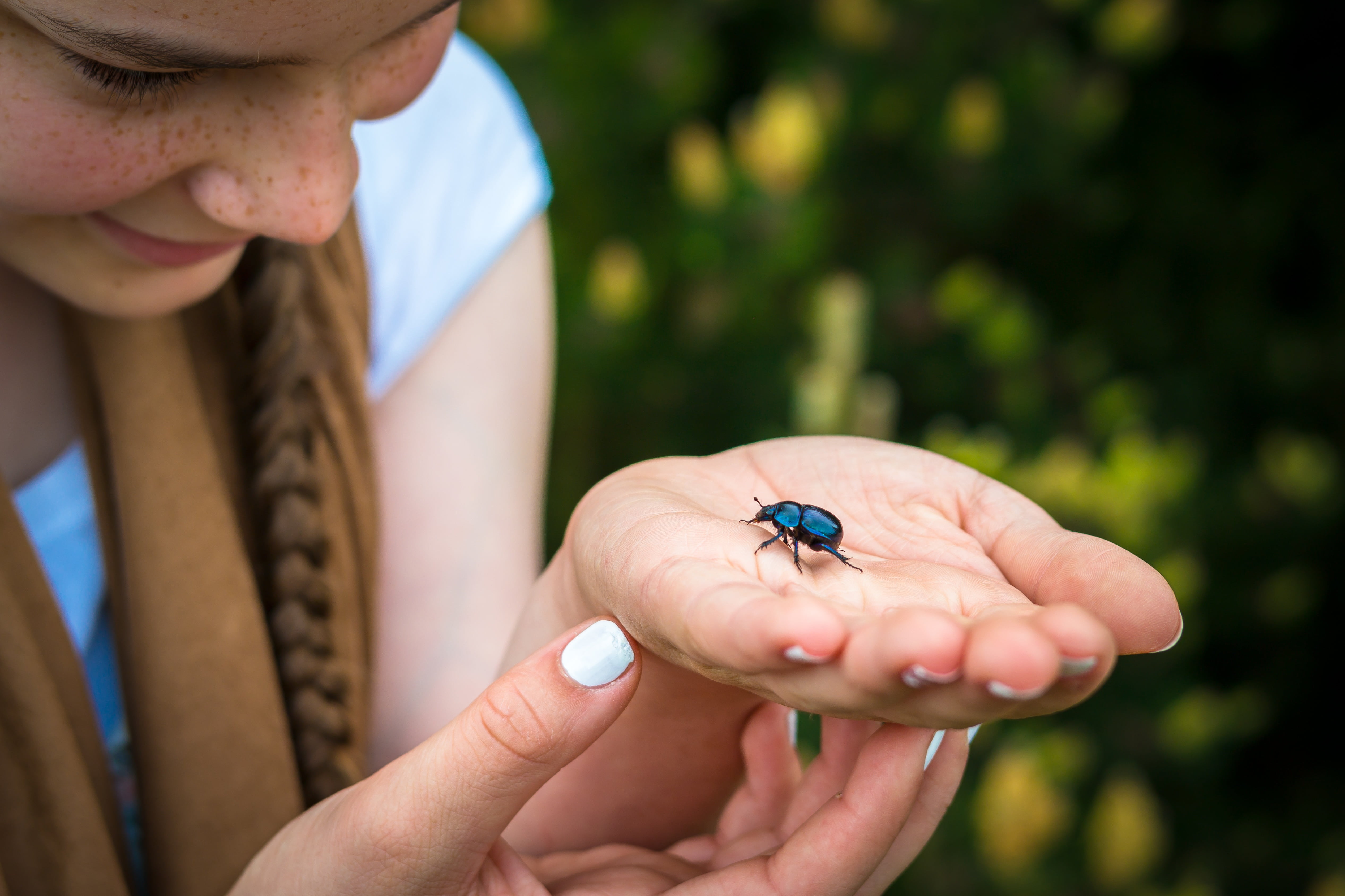 invertebrate, offspring, childhood, daytime, holding, outdoors, palm, bug, girl, human body part, close-up, finger, men, insect, care, one animal, beetle, HD Wallpaper