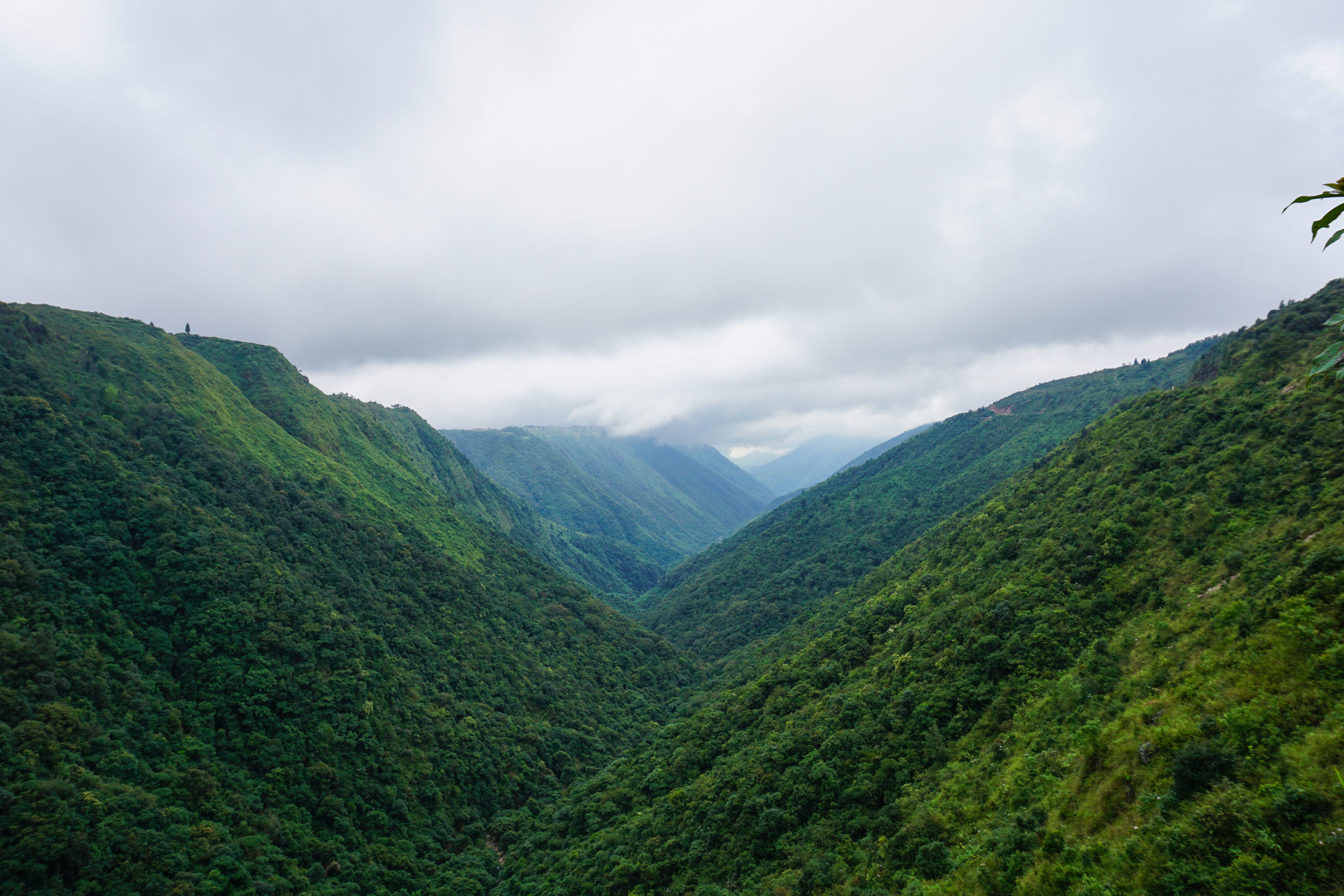 environment, mountain, sky, shillong, 5K, tranquil scene, landscape, idyllic, plant, nature, green color, day, hill, outdoors, land, beauty in nature, HD Wallpaper