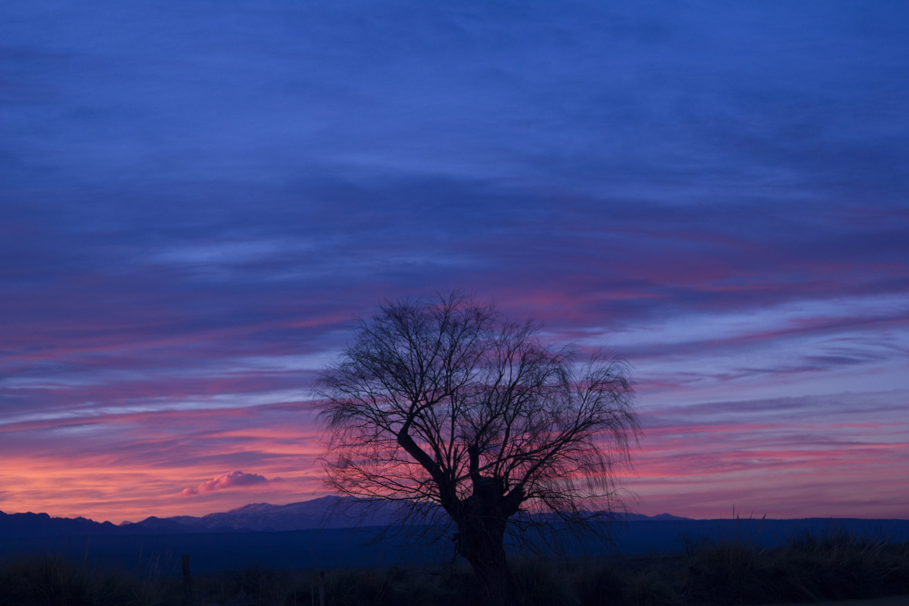 outdoors, dusk, non-urban scene, tranquility, sky, horizon, mendoza, land, sunset, tranquil scene, beauty in nature, cloud - sky, plant, orange color, environment, HD Wallpaper