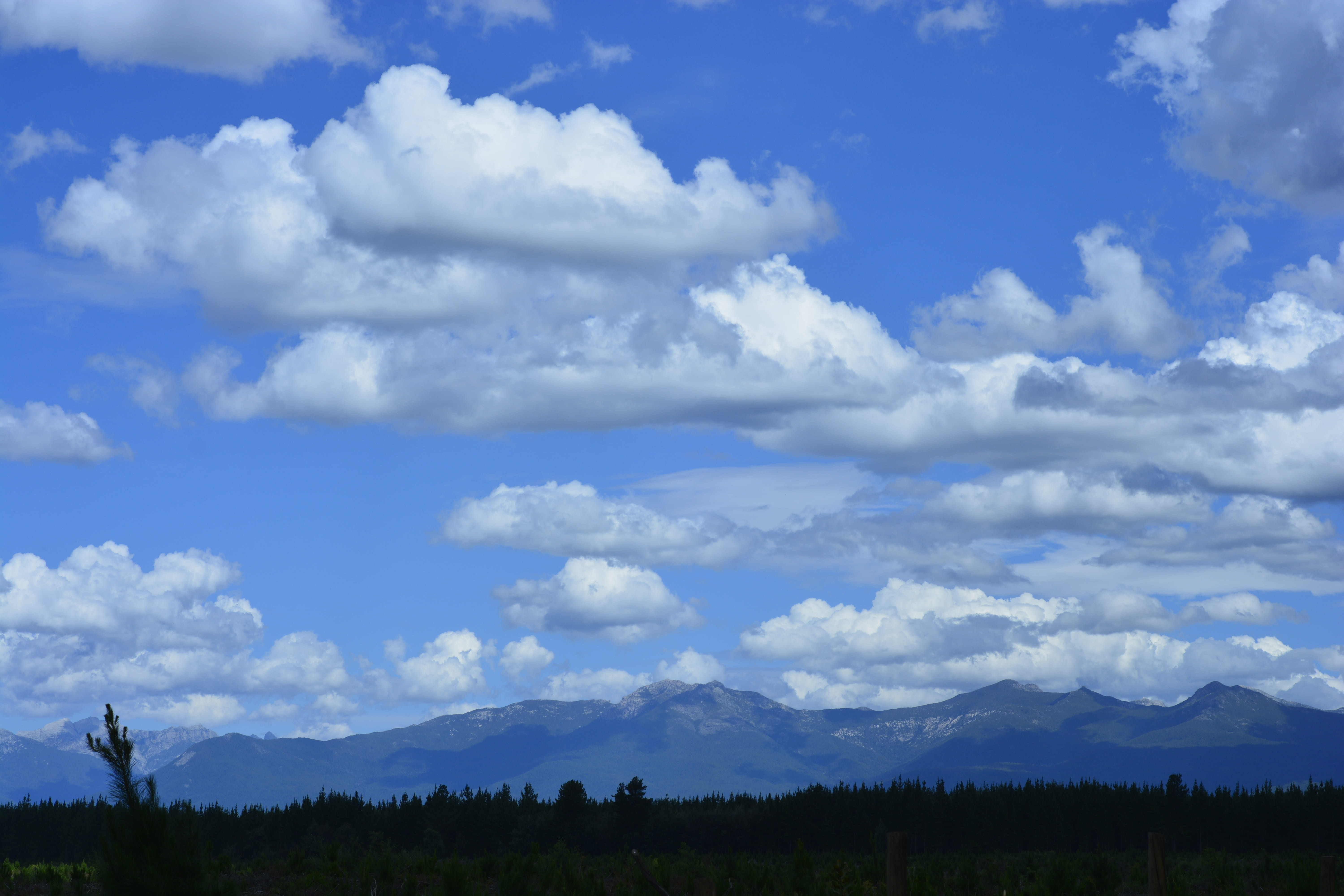 outdoors, non-urban scene, day, tree, mountain, beauty in nature, landscape, land, cordillera, nature, cloud - sky, clouds, sky, blue, environment, no people, HD Wallpaper