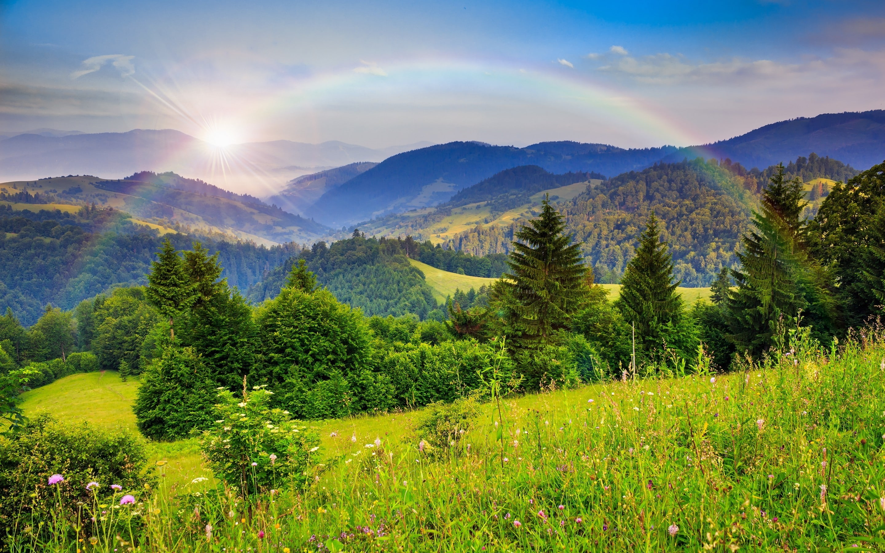 2K, mountains, rainbow, forest, landscape, HD Wallpaper