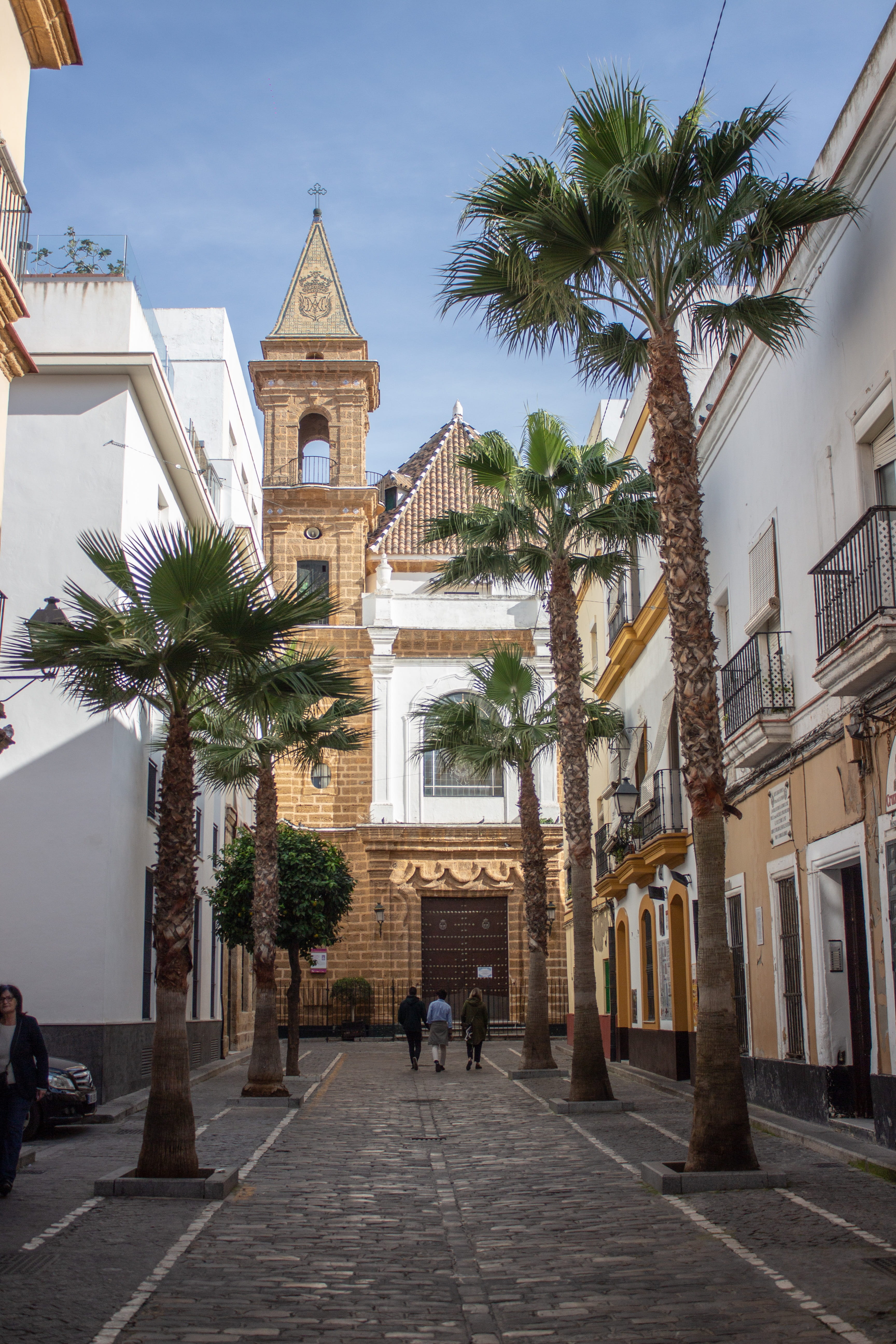 day, belief, 5K, city, outdoors, palms, spirituality, tropical climate, people, holiday, palm tree, real people, building, cadiz, walking, palm, built structure, Phone HD Wallpaper