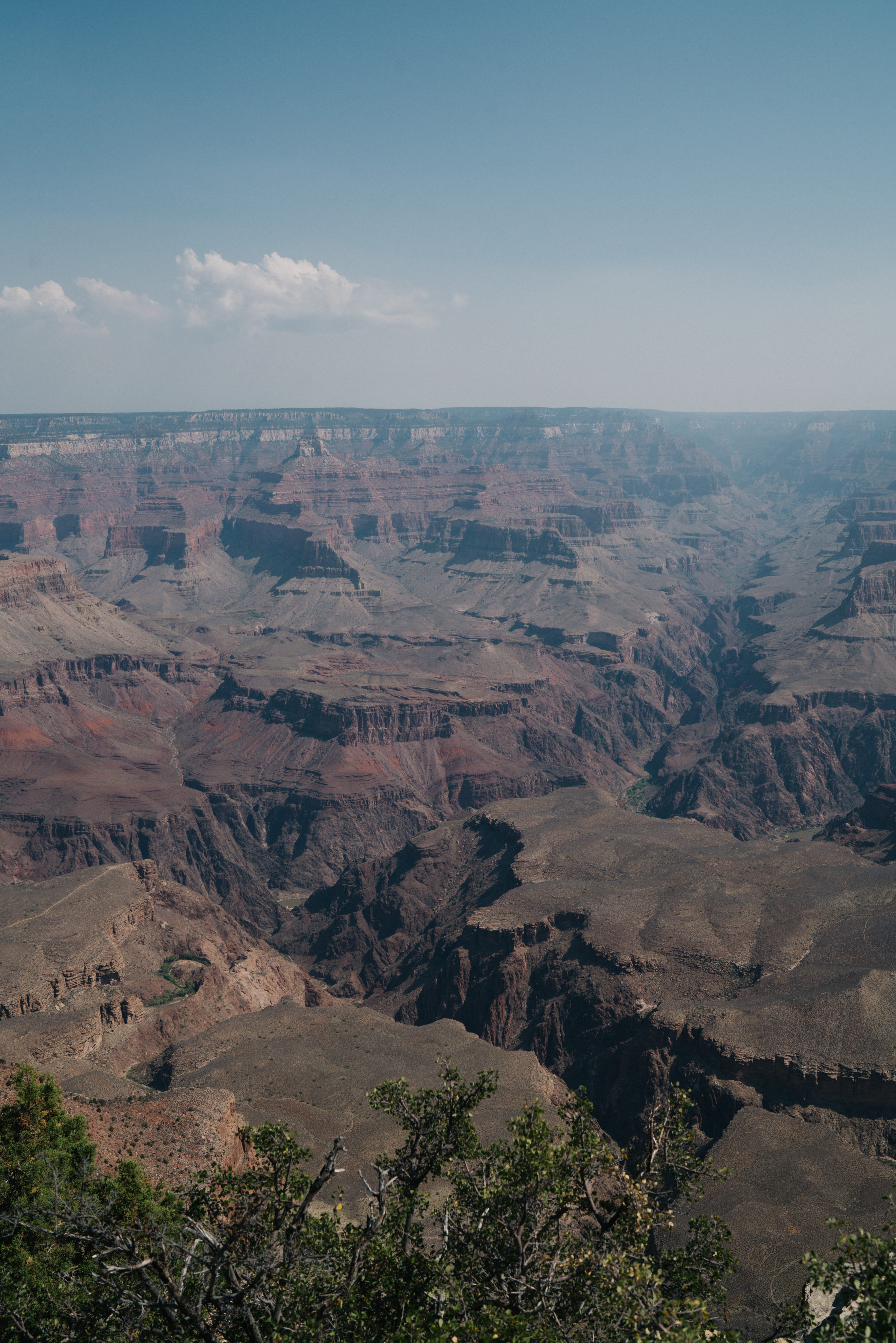 idyllic, tranquility, non-urban scene, no people, day, physical geography, tree, grand canyon village, south rim trail, plant, cloud - sky, united states, Phone HD Wallpaper