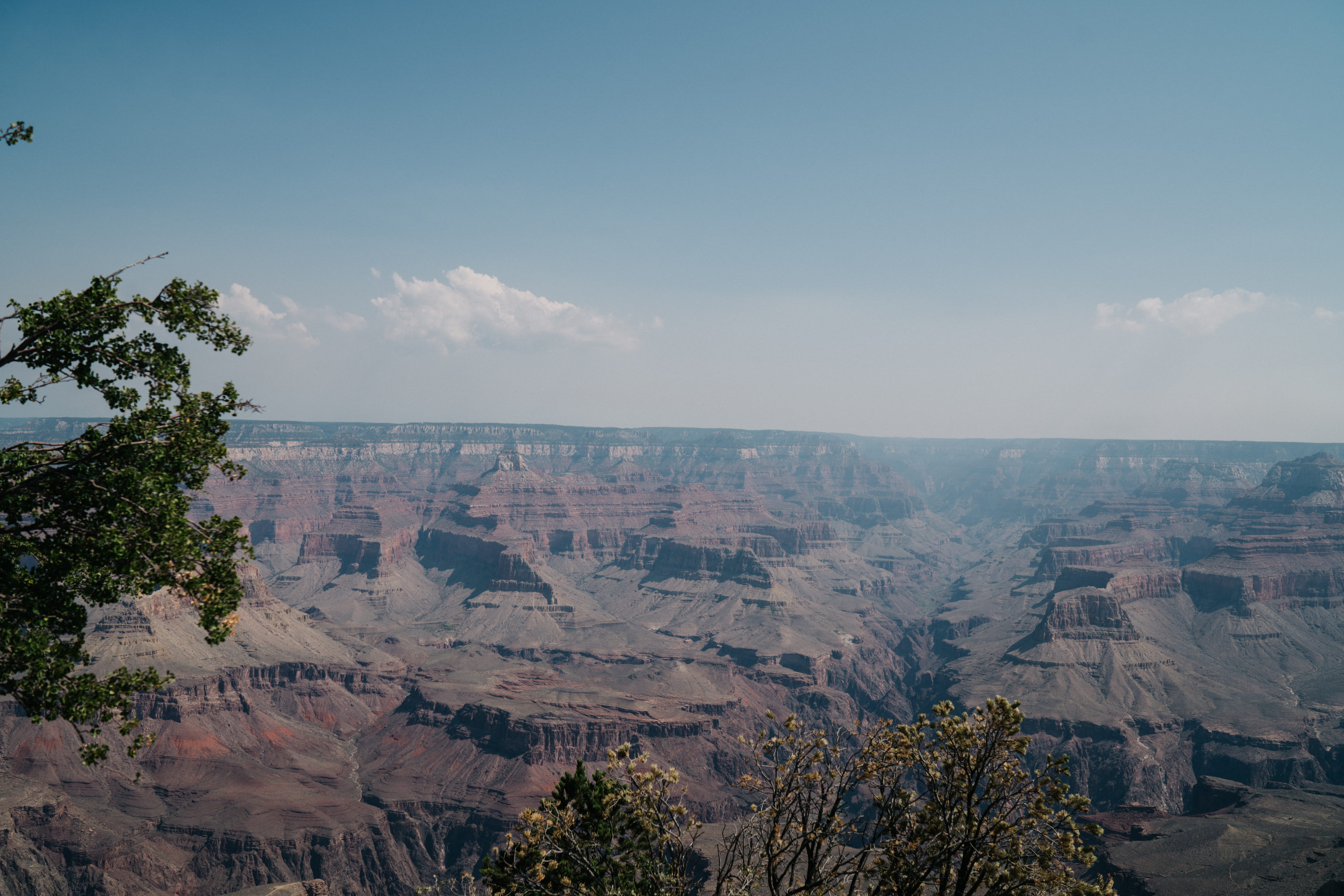 plant, south rim trail, outdoors, scenics - nature, united states, formation, nature, tranquility, non-urban scene, sky, travel destinations, beauty in nature, HD Wallpaper
