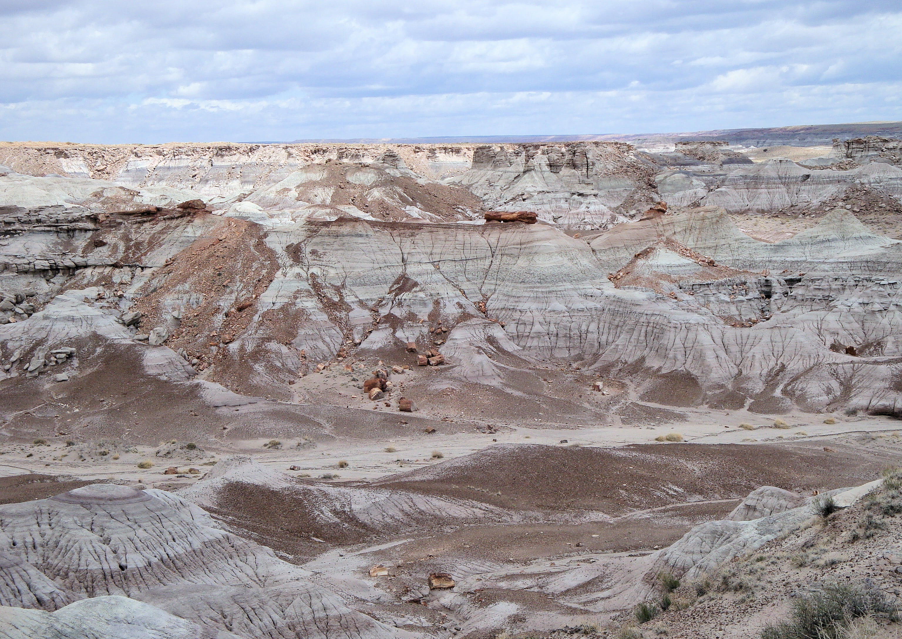 arid climate, rock - object, nature, solid, petrified, landscape, quarry, usa, day, land, arizona, physical geography, eroded, beauty in nature, araucarioxylon arizonicum, HD Wallpaper