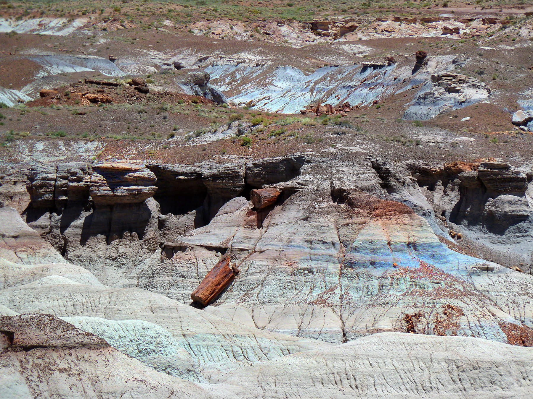colorful, solid, tranquil scene, environment, park, non-urban scene, 720P, travel, forest, scenics - nature, climate, petrified, desert, Petrified Forest National Park, HD Wallpaper