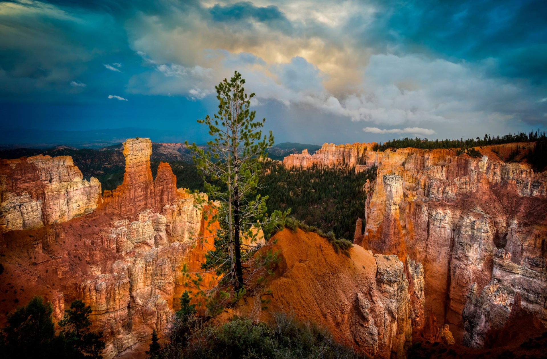 Nature, 1080P, Tree, Bryce Canyon National Park, Utah, Cloud, Canyon, National Park, HD Wallpaper
