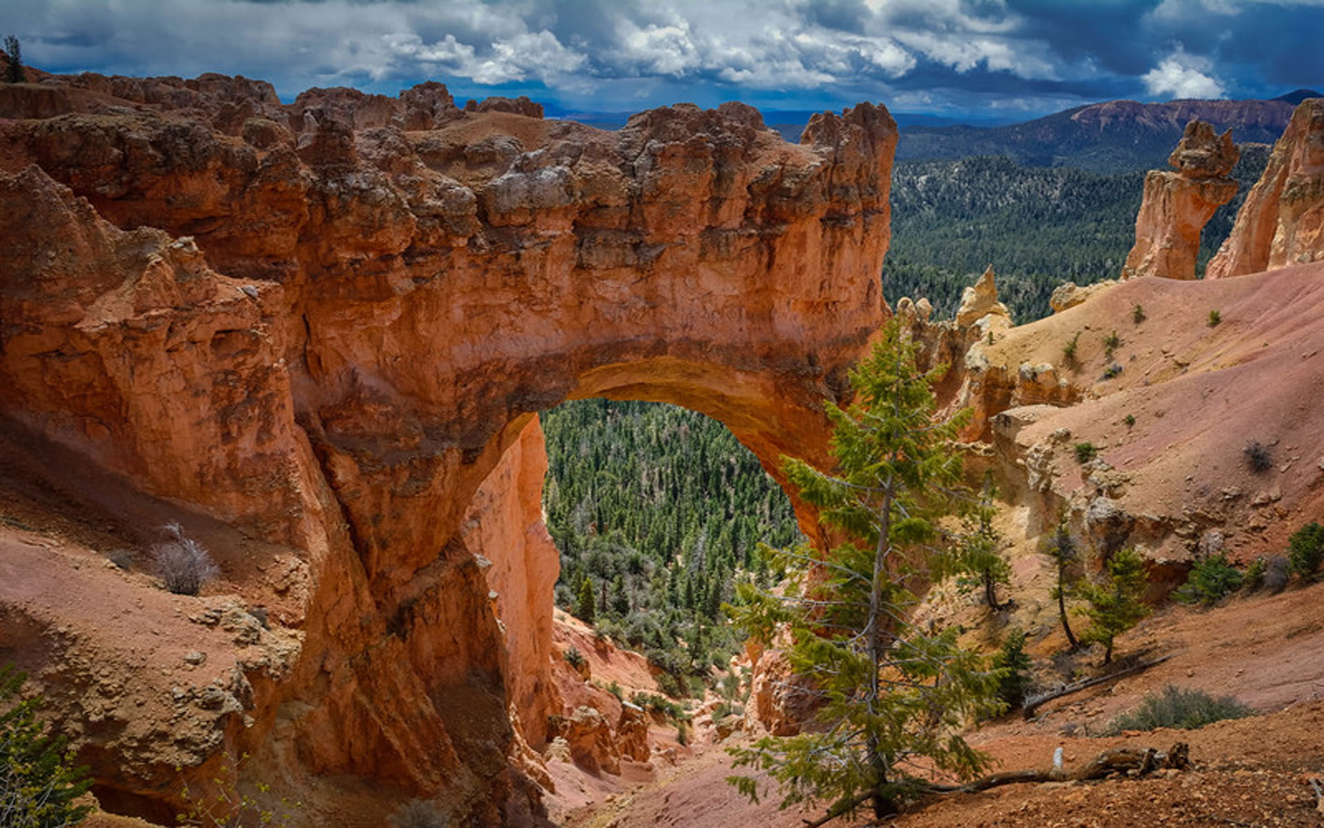 park, canyon, utah, national, natural, bridge, 1080P, rock, bryce, desktop, HD Wallpaper