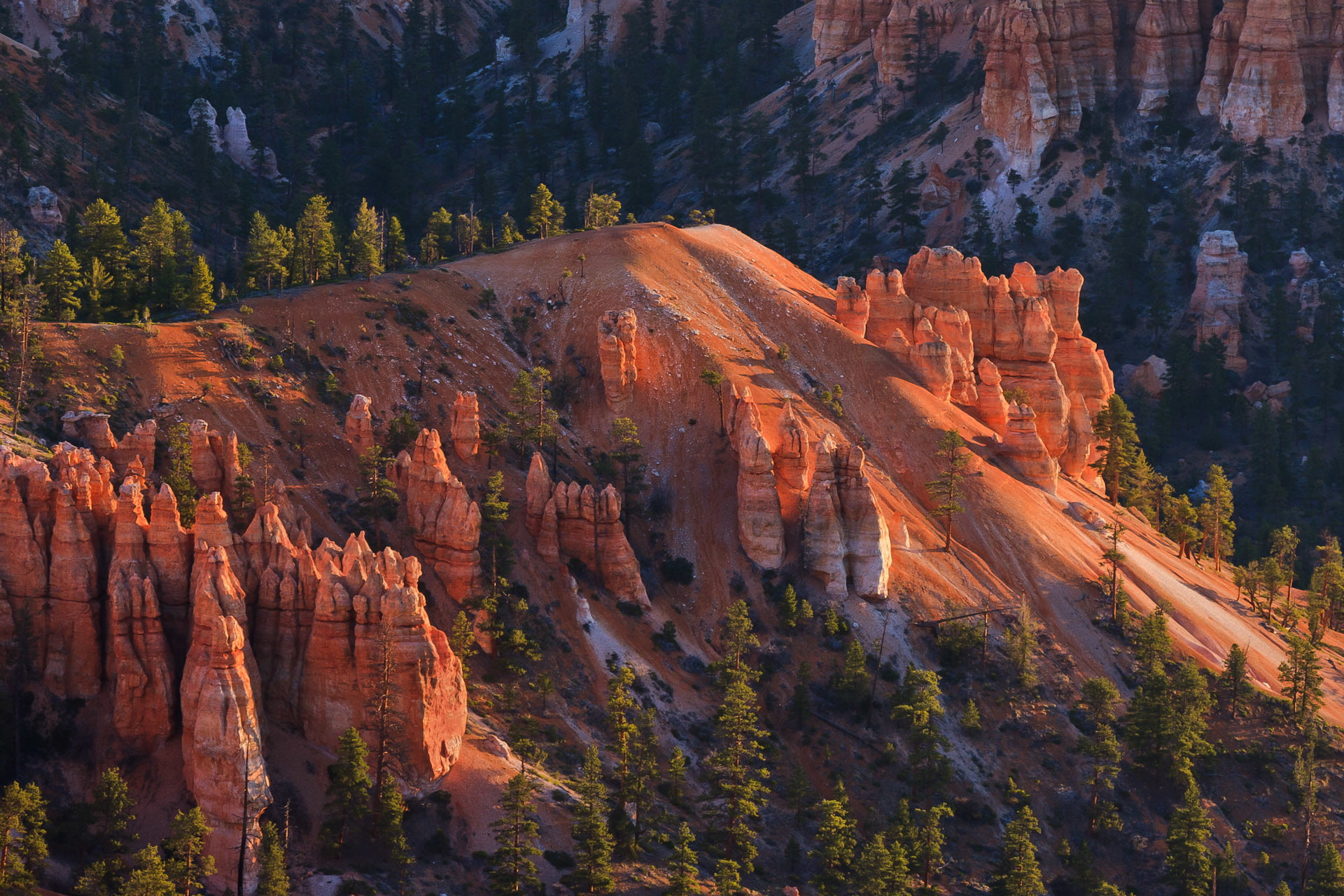 mountains, trees, 1080P, rocks, USA, Utah, Bryce Canyon National Park, slope, HD Wallpaper