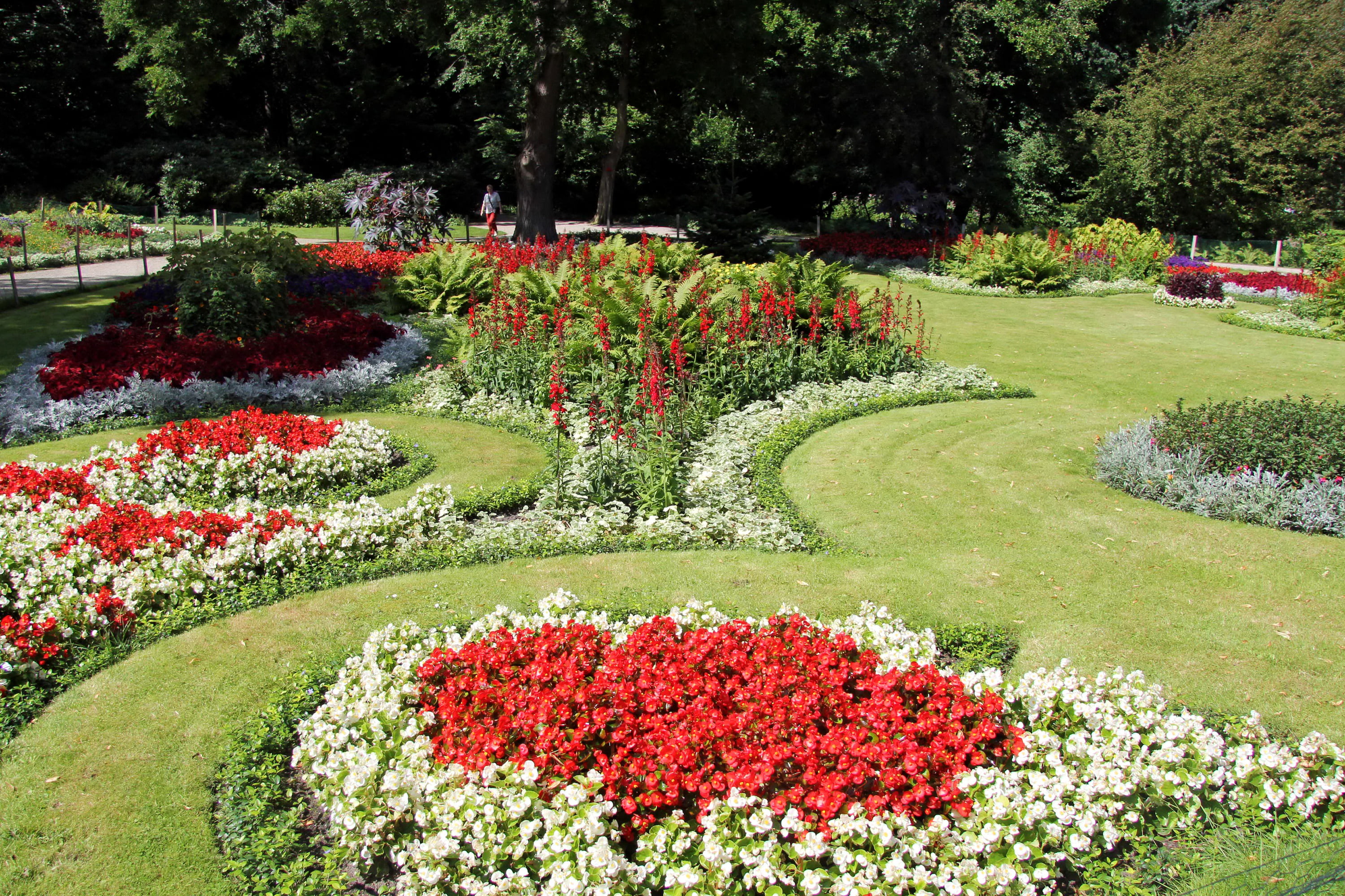 hedge, trees, plant, tree, ornamental garden, field, freshness, lawns, multi colored, Berlin, beds, gardening, red, flowering plant, Park, grass, springtime, HD Wallpaper