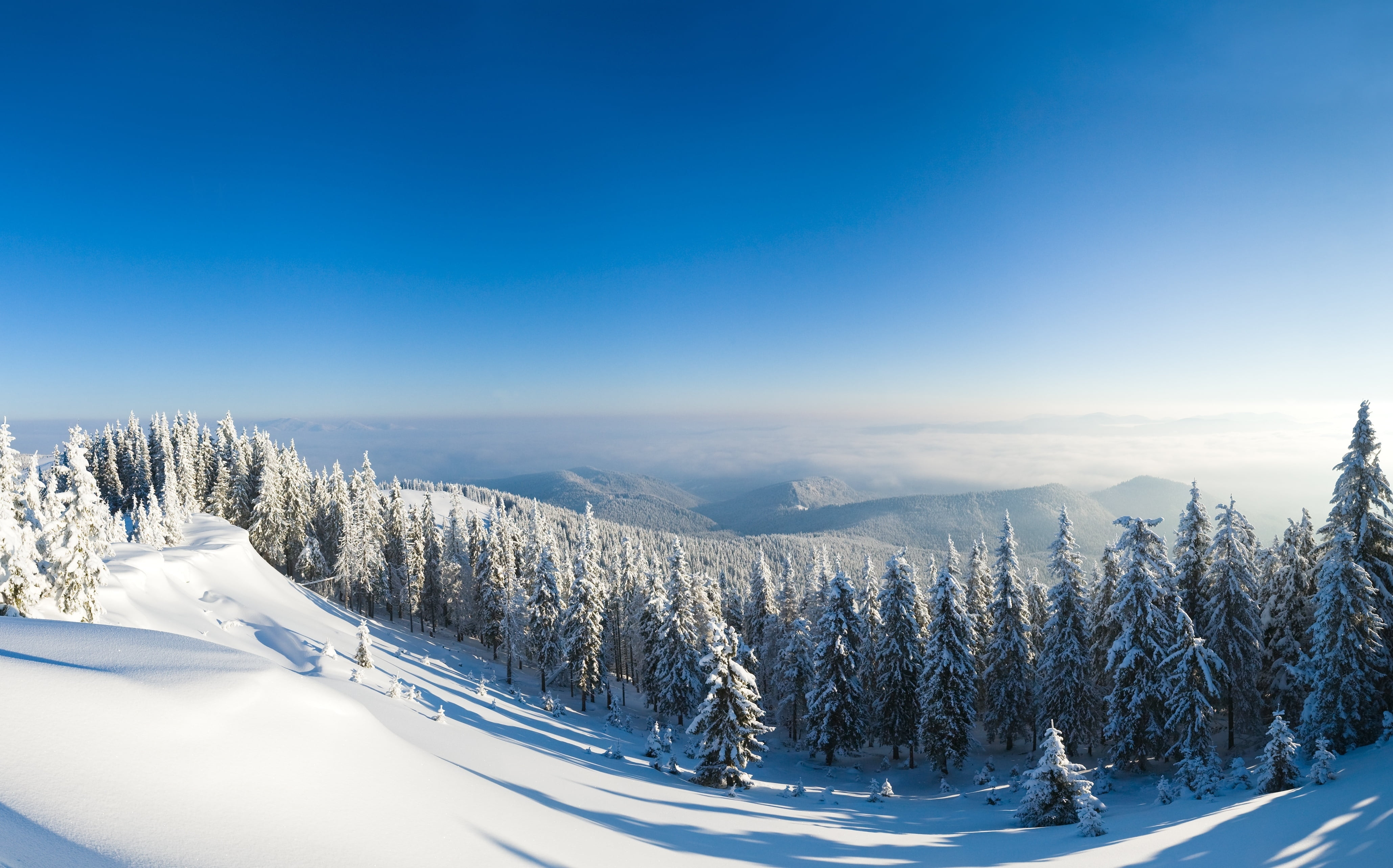 nature, cold - Temperature, travel, trees, cold temperature, 4K, christmas, europe, outdoors, frozen, tranquil Scene, european Alps, landscape, sunlight, HD Wallpaper