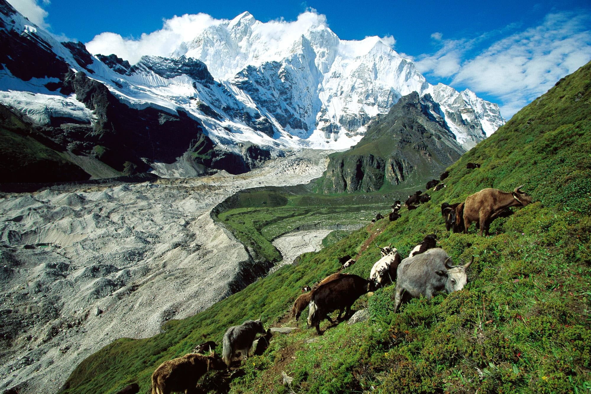 scenics, himalayas, gray, vertebrate, rural Scene, europe, sky, summer, landscape, glacier, scenics - nature, switzerland, hiking, snowcapped mountain, HD Wallpaper