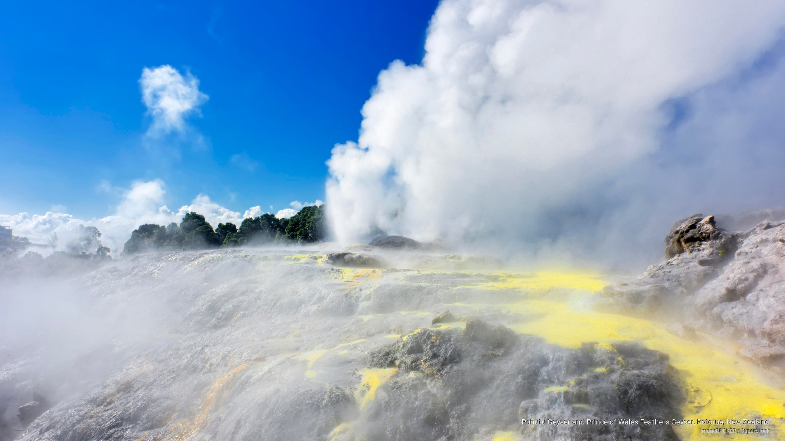 pohutu, zealand, prince, Oceania, 2K, wales, geyser, new, feathers, rotorua, HD Wallpaper