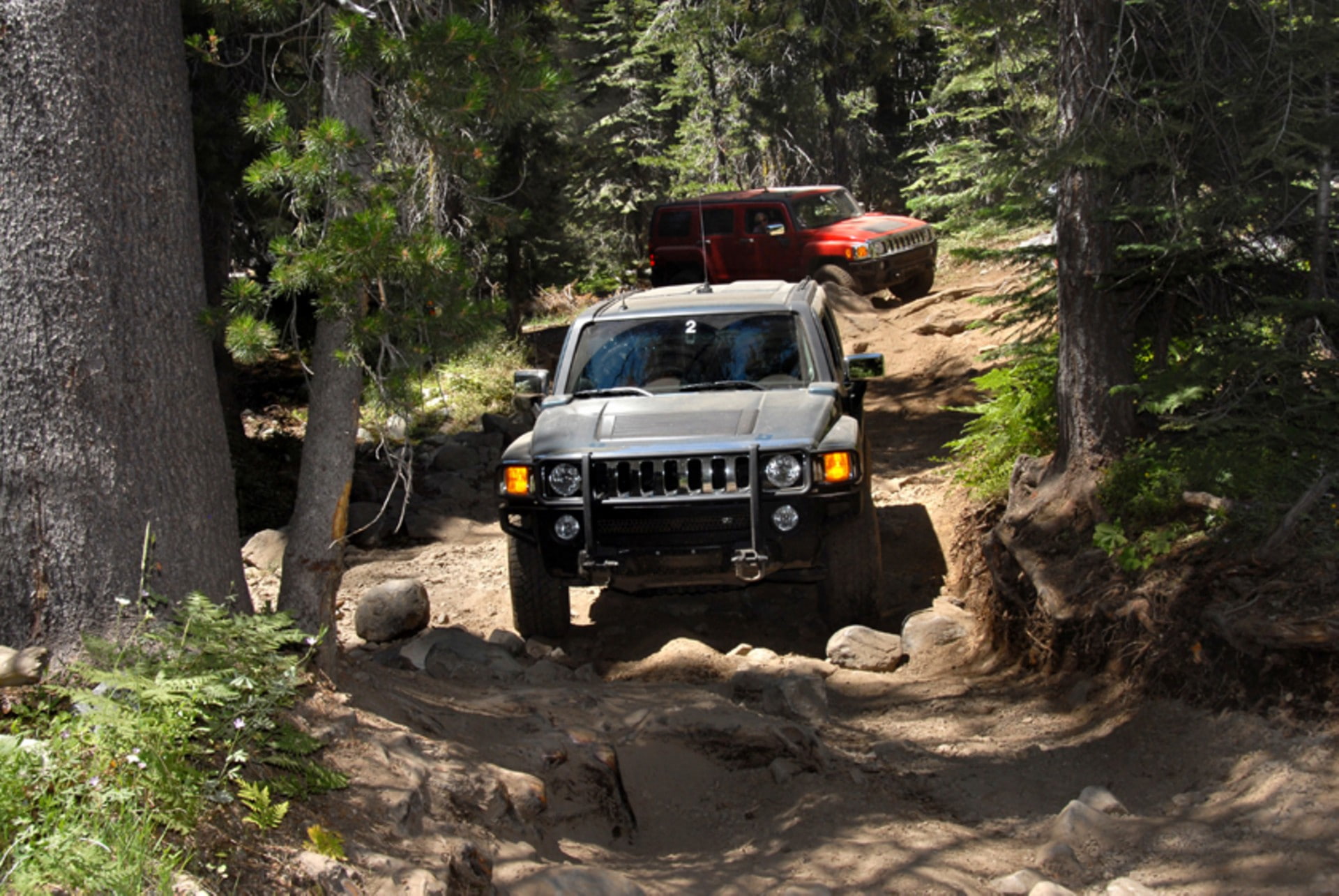 hummer, nature, transportation, dirt, dirt road, motor vehicle, land, x, car, forest, sunlight, mode of transportation, outdoors, growth, truck, off-road vehicle, HD Wallpaper