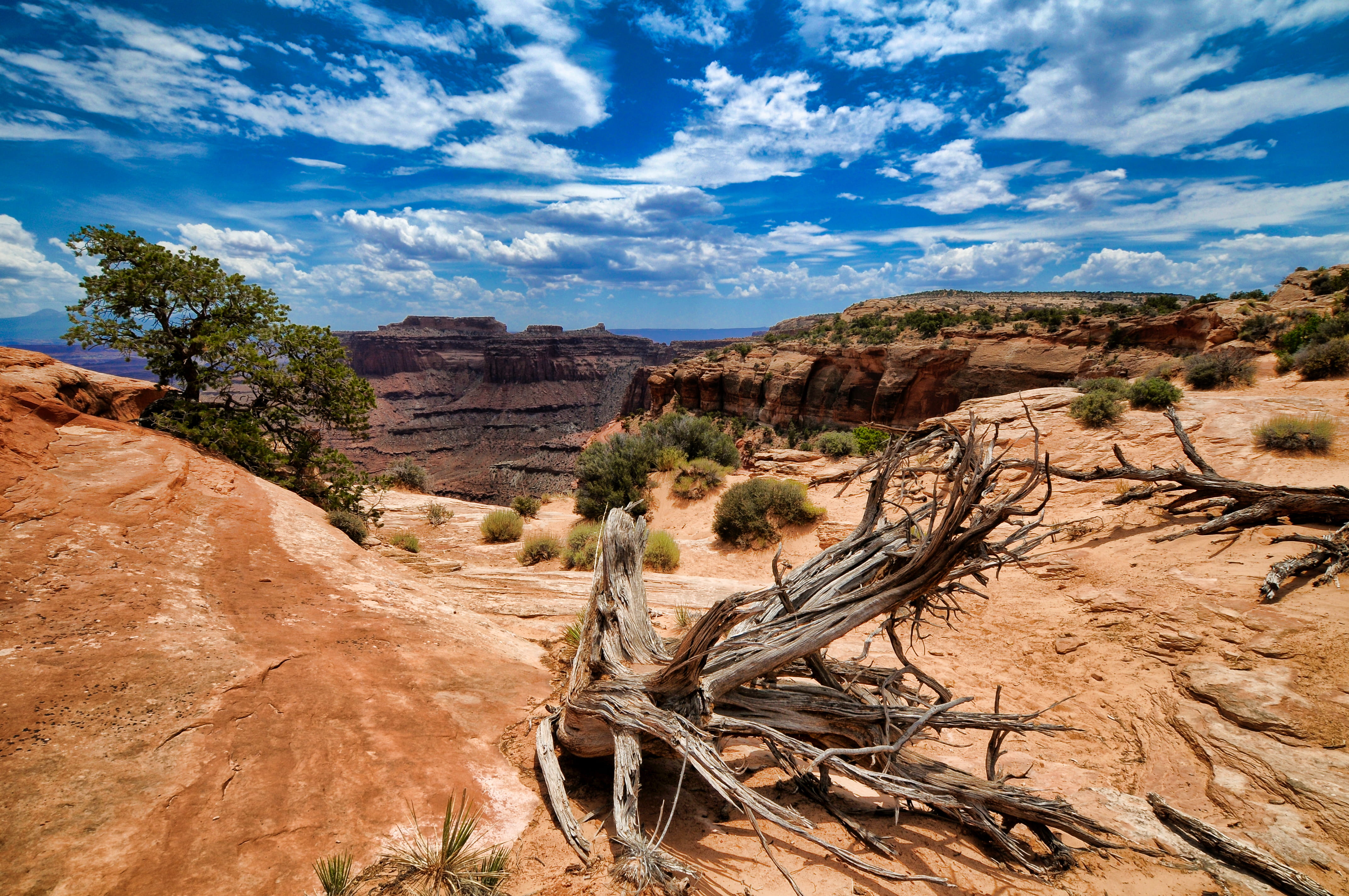 arid climate, rock, landscape, eroded, canyon, formation, nature, dramatic, outdoors, tranquil scene, physical geography, plant, beauty in nature, no people, HD Wallpaper