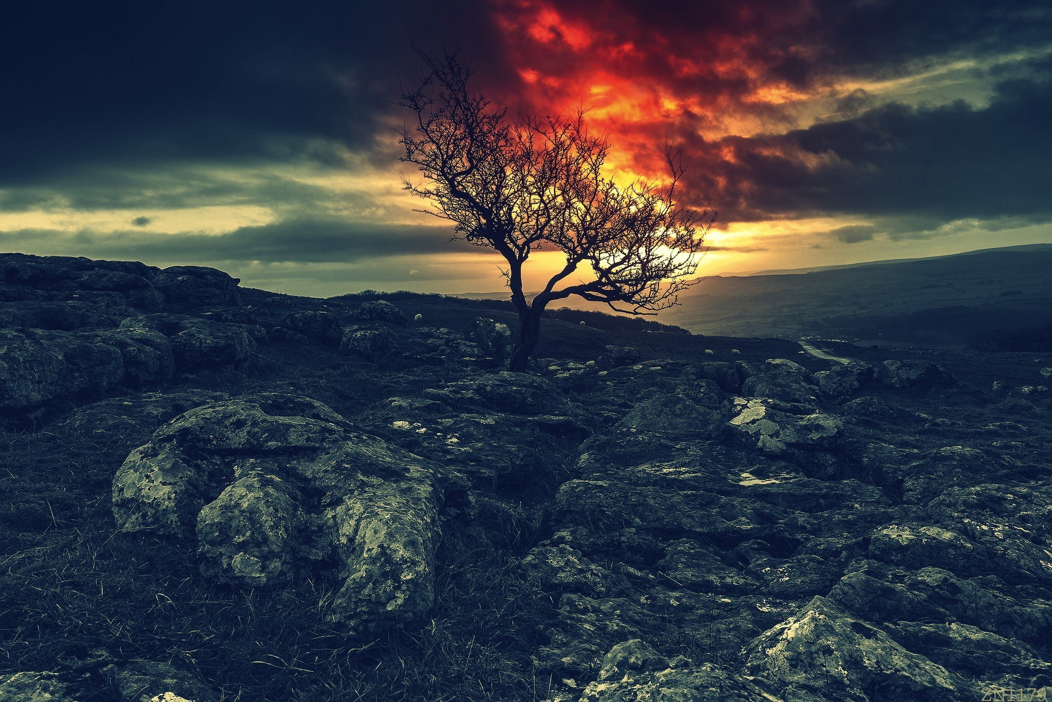 bare tree, isolated, rocks, orange color, night, scenics - nature, 1080P, sky, land, rock, brown, black, red, rock - object, tranquility, cloud - sky, HD Wallpaper