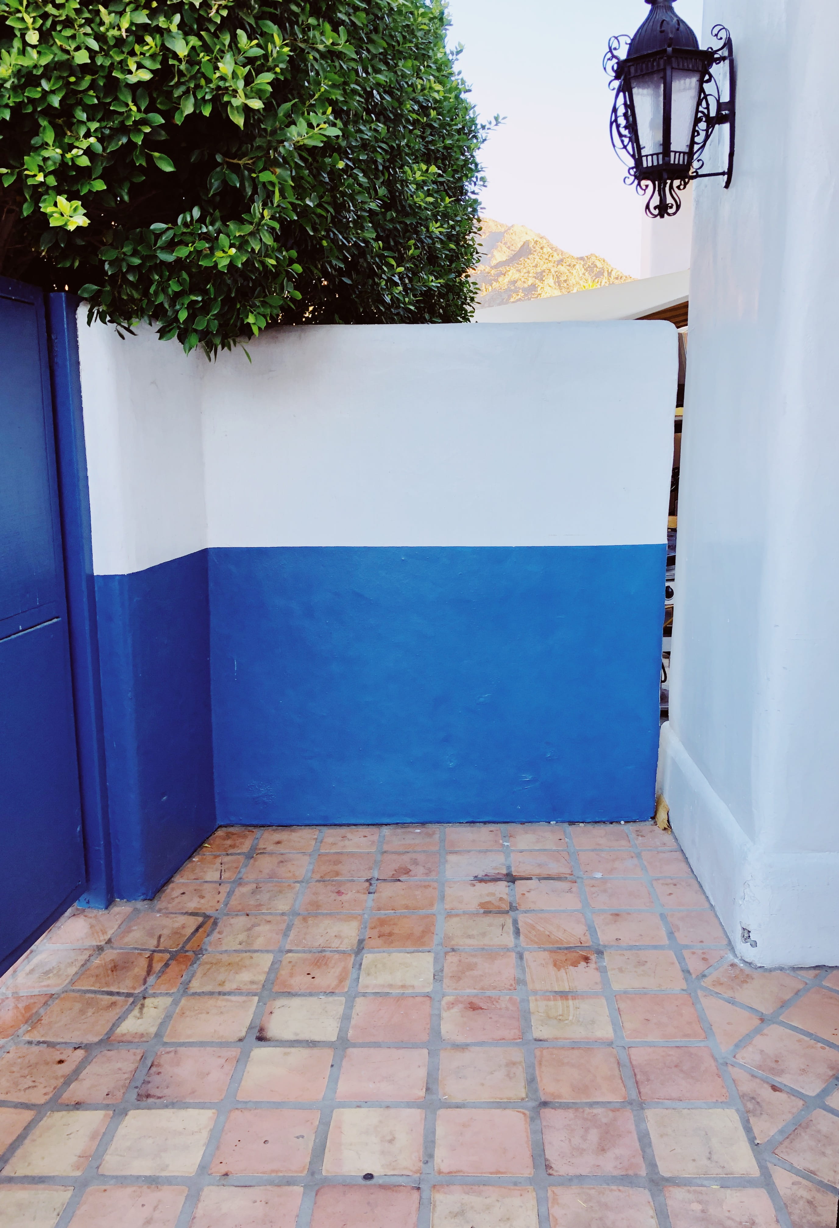plant, united states, blue, la quinta, building, wall - building feature, house, tree, door, flooring, swimming pool, tile, outdoors, building exterior, Phone HD Wallpaper