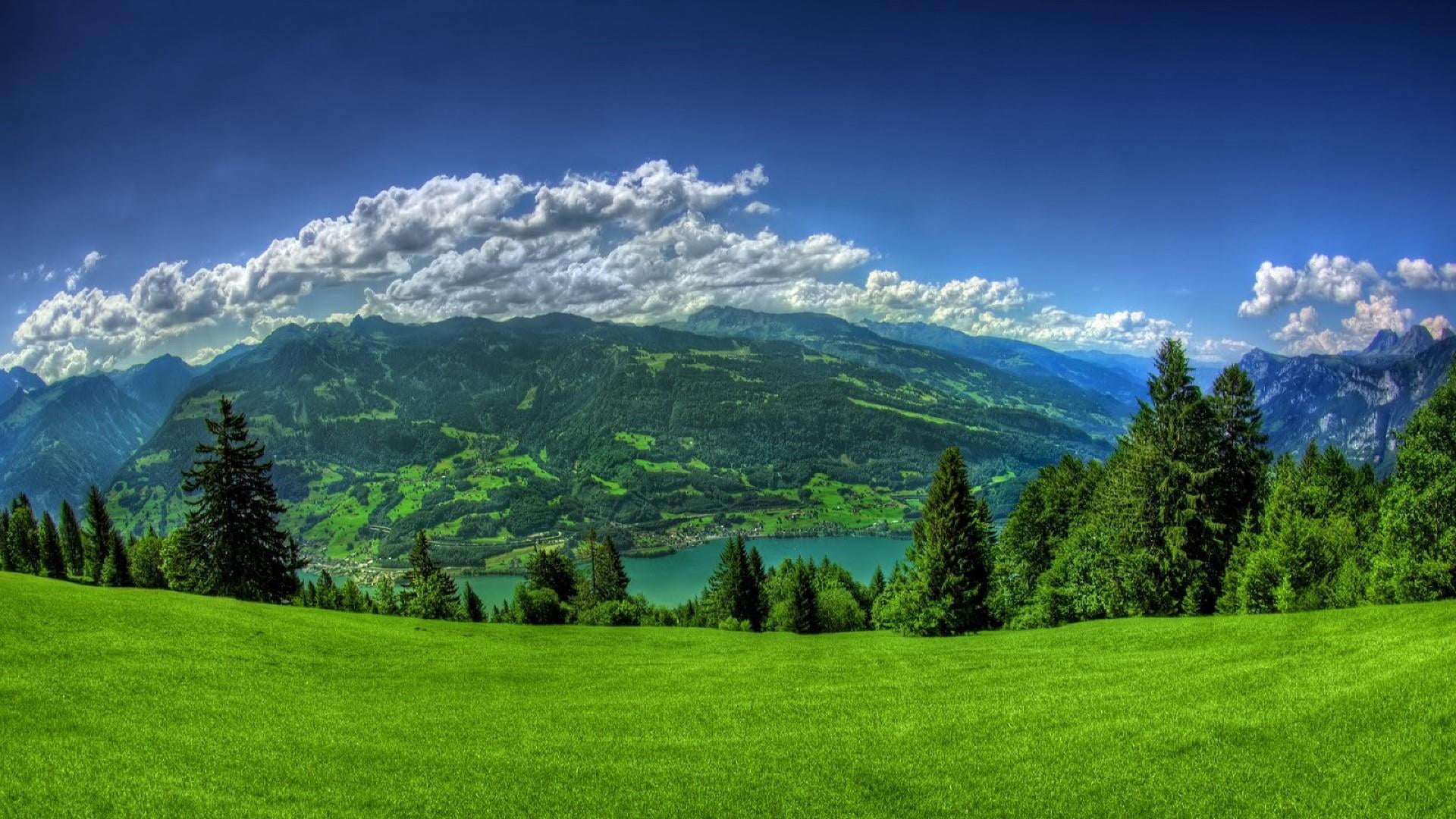 non-urban scene, sky, tree, no people, grass, coniferous tree, growth, green color, 1080P, trees, pine tree, mountain, beauty in nature, clouds, nature, HD Wallpaper