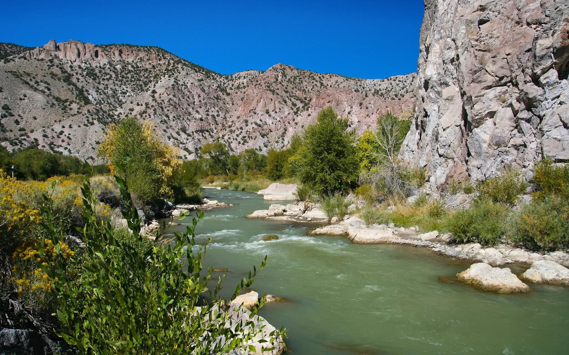 park, river, national, green, 1080P, canyon, bryce, nature and landscapes, HD Wallpaper