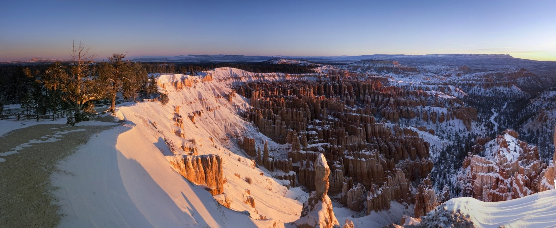 pine tree, travel, mountain, high angle view, Rock, tree, sky, travel destinations, outdoors, no people, Bryce Canyon National Park, Canyon, Cliff, snow, HD Wallpaper