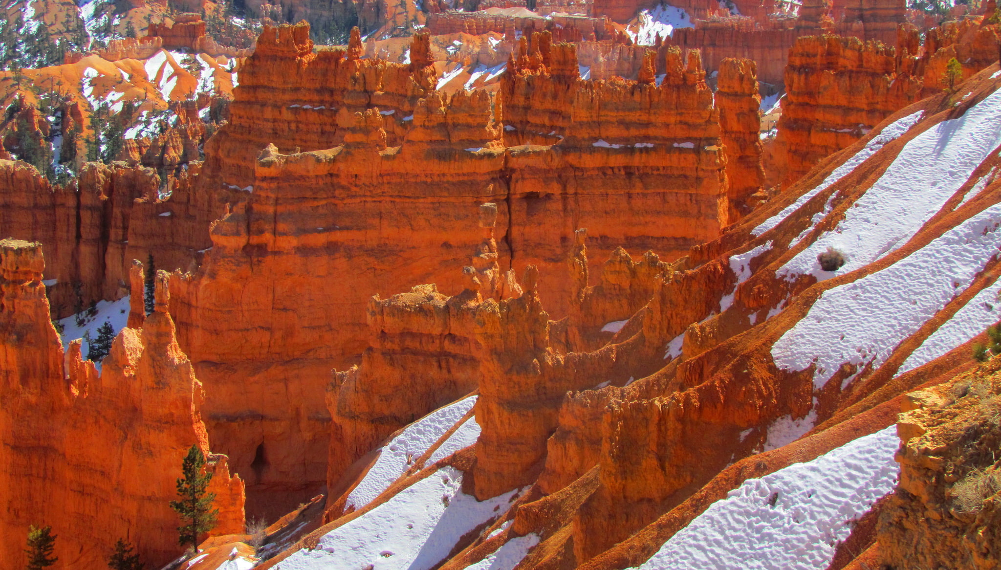 Bryce Canyon National Park, rocks, Utah, USA, mountains, 1080P, tree, snow, HD Wallpaper