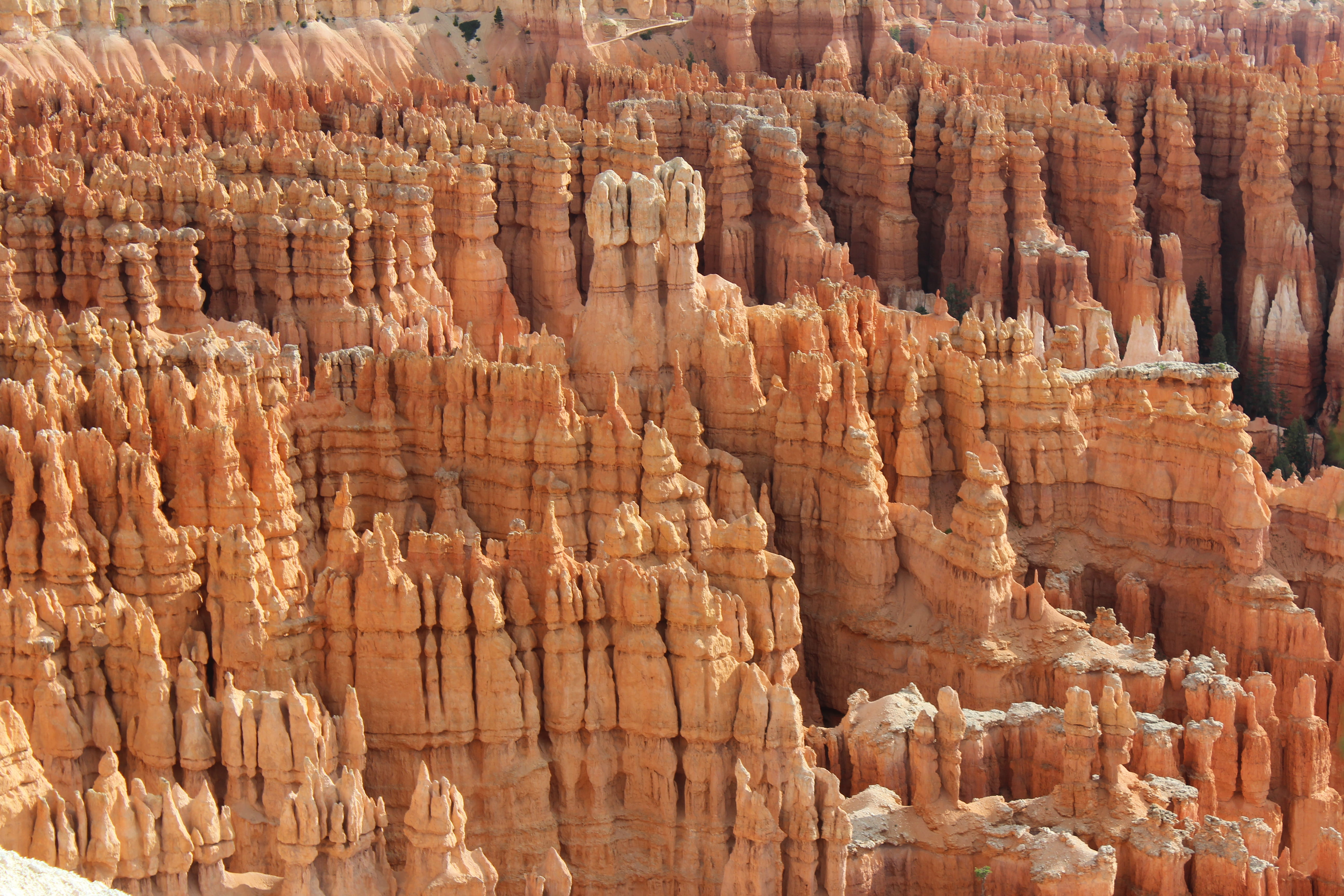 no people, nature, physical geography, travel destinations, bryce canyon, united states, beautiful, rock hoodoo, rocks, 5K, overlook, background photo, HD Wallpaper