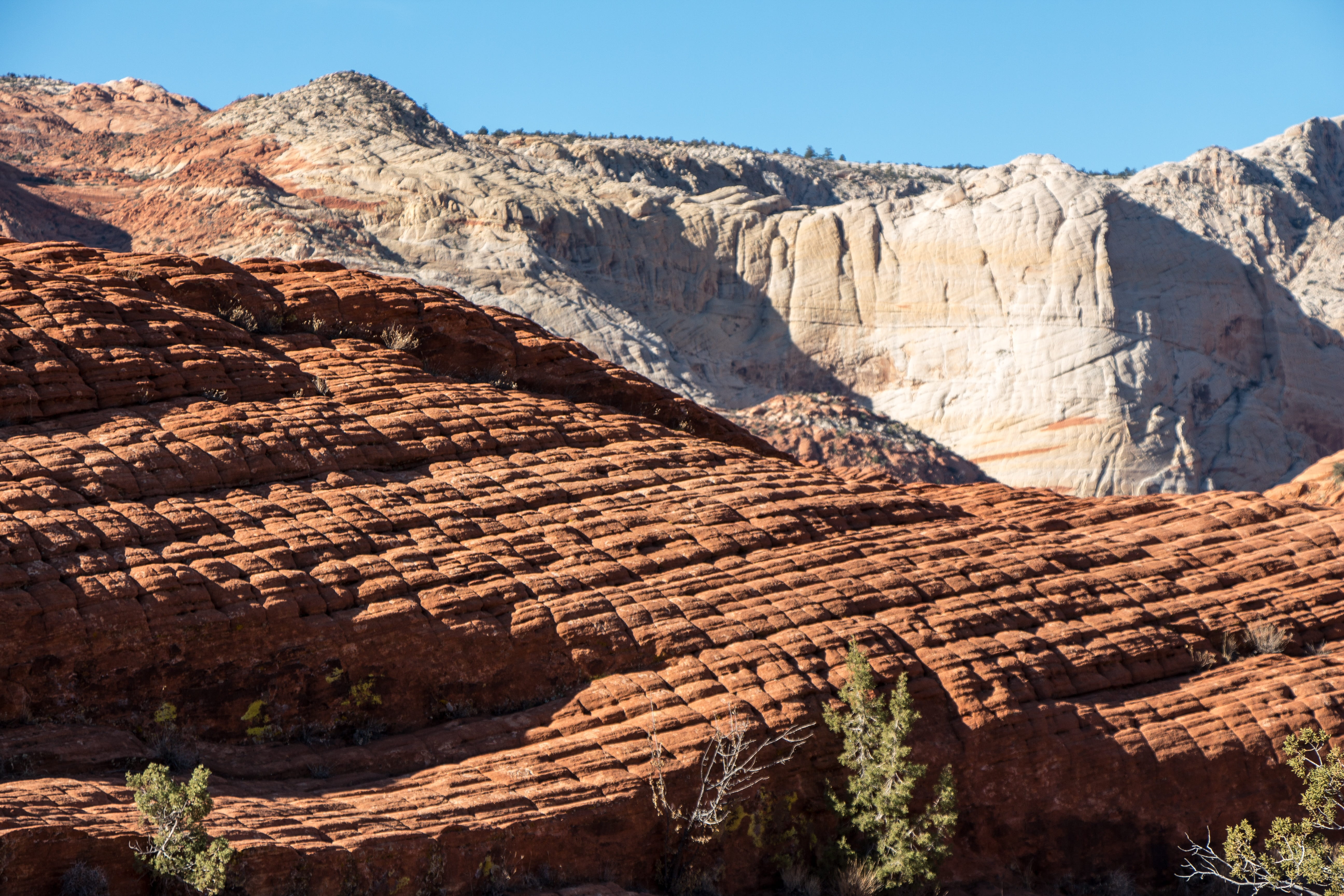 south, eroded, 5K, land, outdoors, layered, sandstone, arid climate, national, beauty in nature, physical geography, outdoor, nature, utah, tranquility, HD Wallpaper