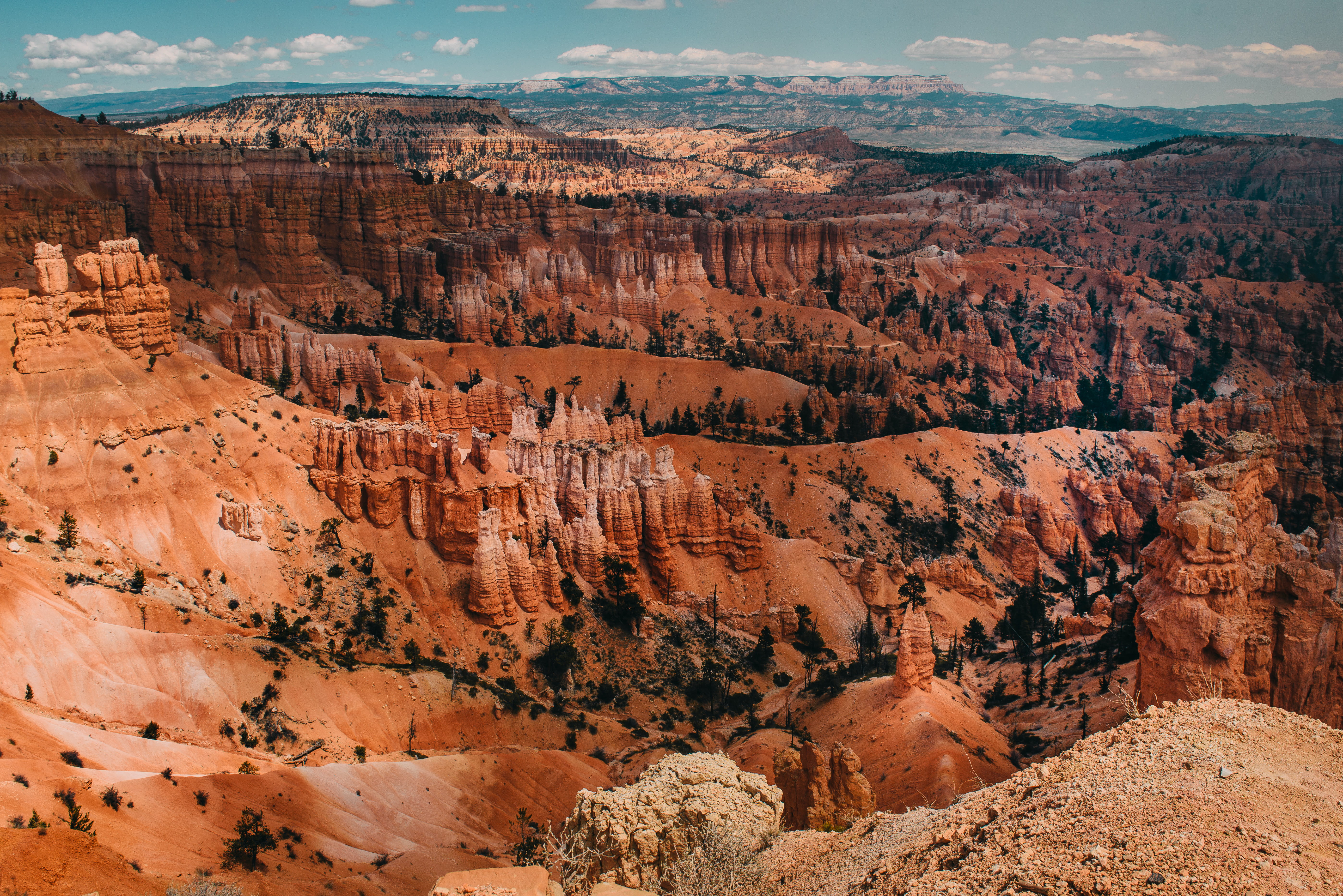 arid climate, environment, landscape, scenics - nature, utah, no People, national Park, valley, tree, 5K, sandstone, rock, beauty In Nature, travel, bryce Canyon National Park, HD Wallpaper