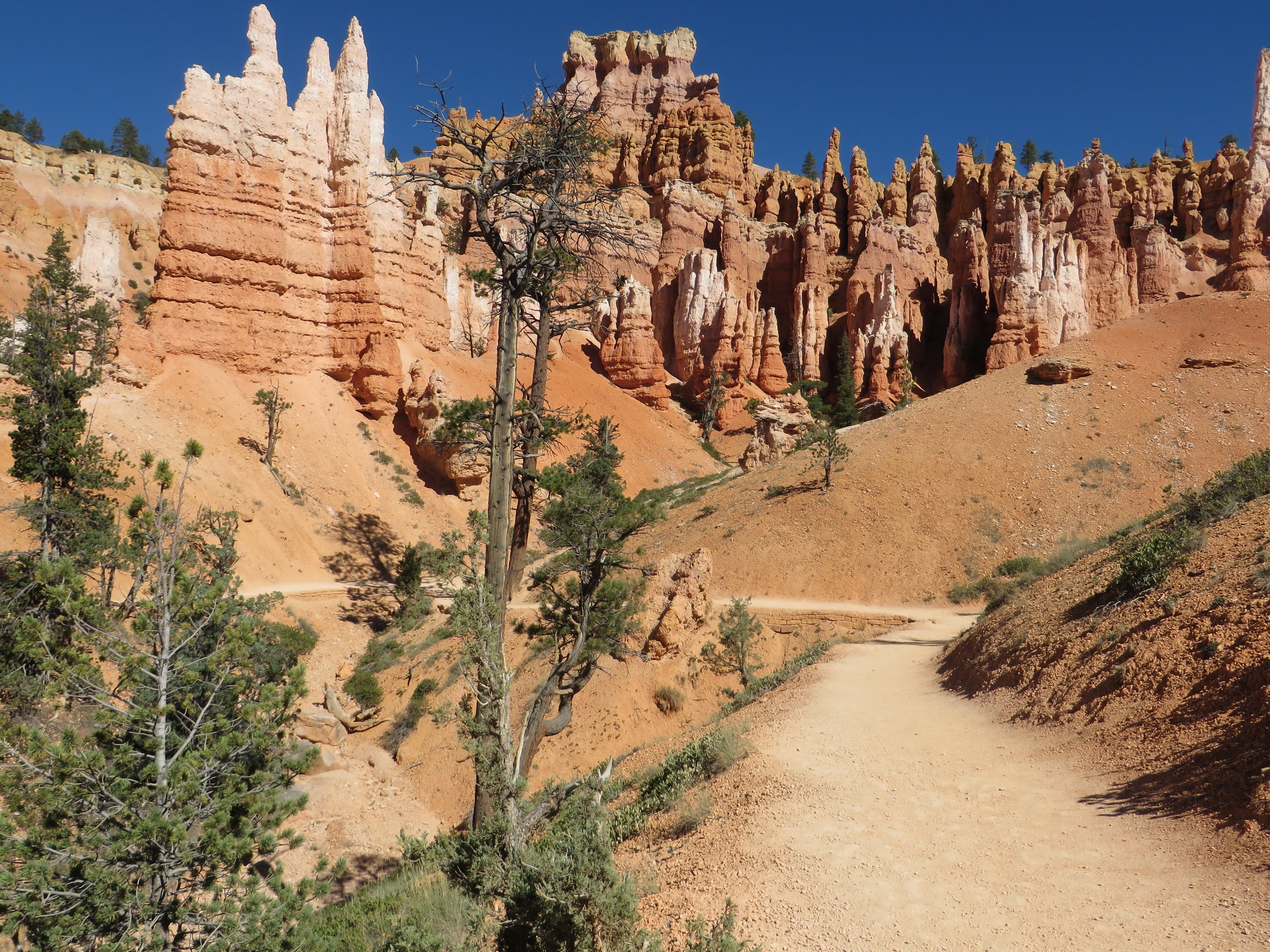 tranquility, rock formation, dry, 4K, outdoors, hoodoos, rock - object, travel, bryce, no people, southwest, environment, plant, beauty in nature, formation, HD Wallpaper