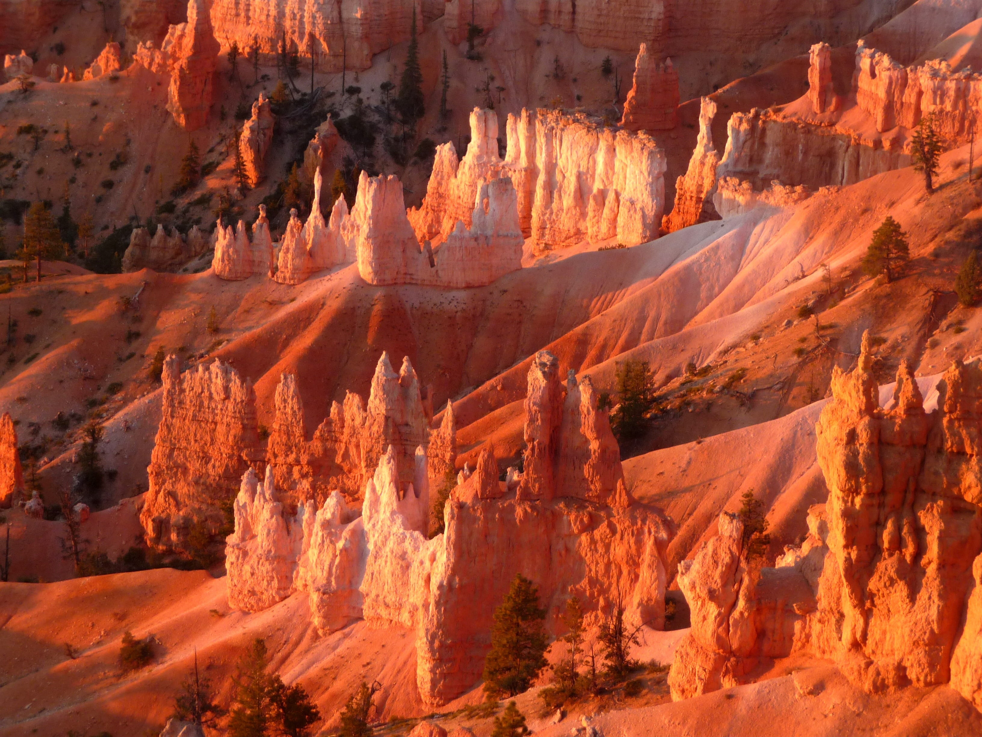 tranquility, rock - object, travel destinations, national park, non-urban scene, rock hoodoo, red rock, geology, physical geography, bryce canyon, outdoor, HD Wallpaper