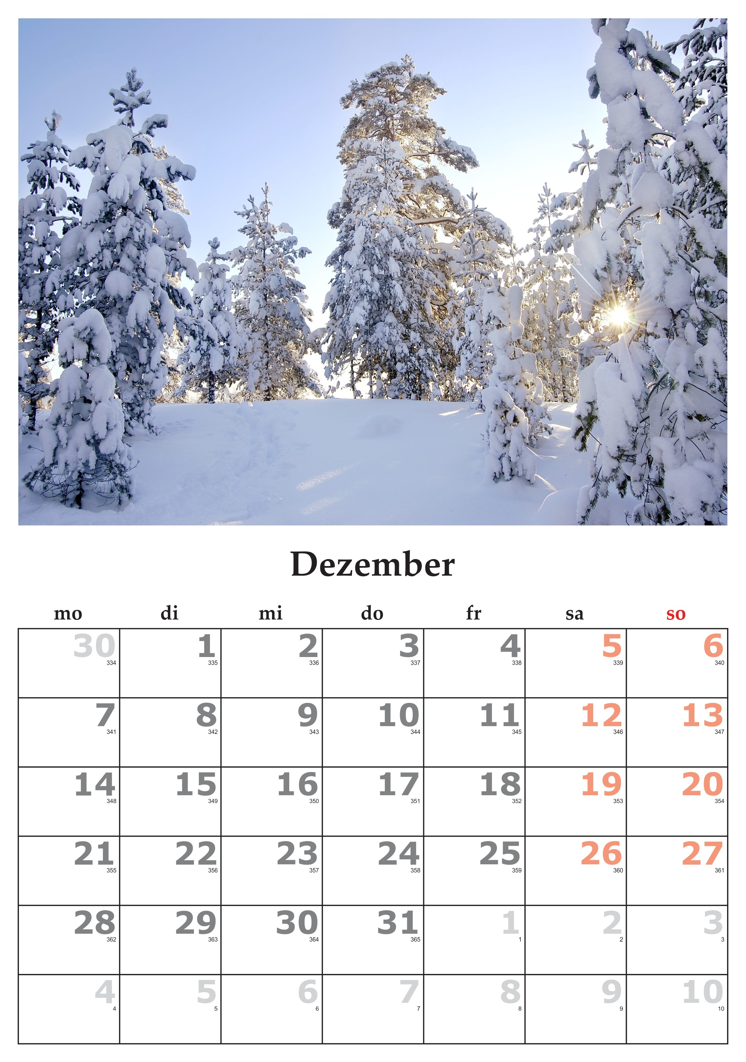 outdoors, dezember, white color, beauty in nature, cold temperature, no people, calendar, tree, december 2015, coniferous tree, nature, event, celebration, Phone HD Wallpaper