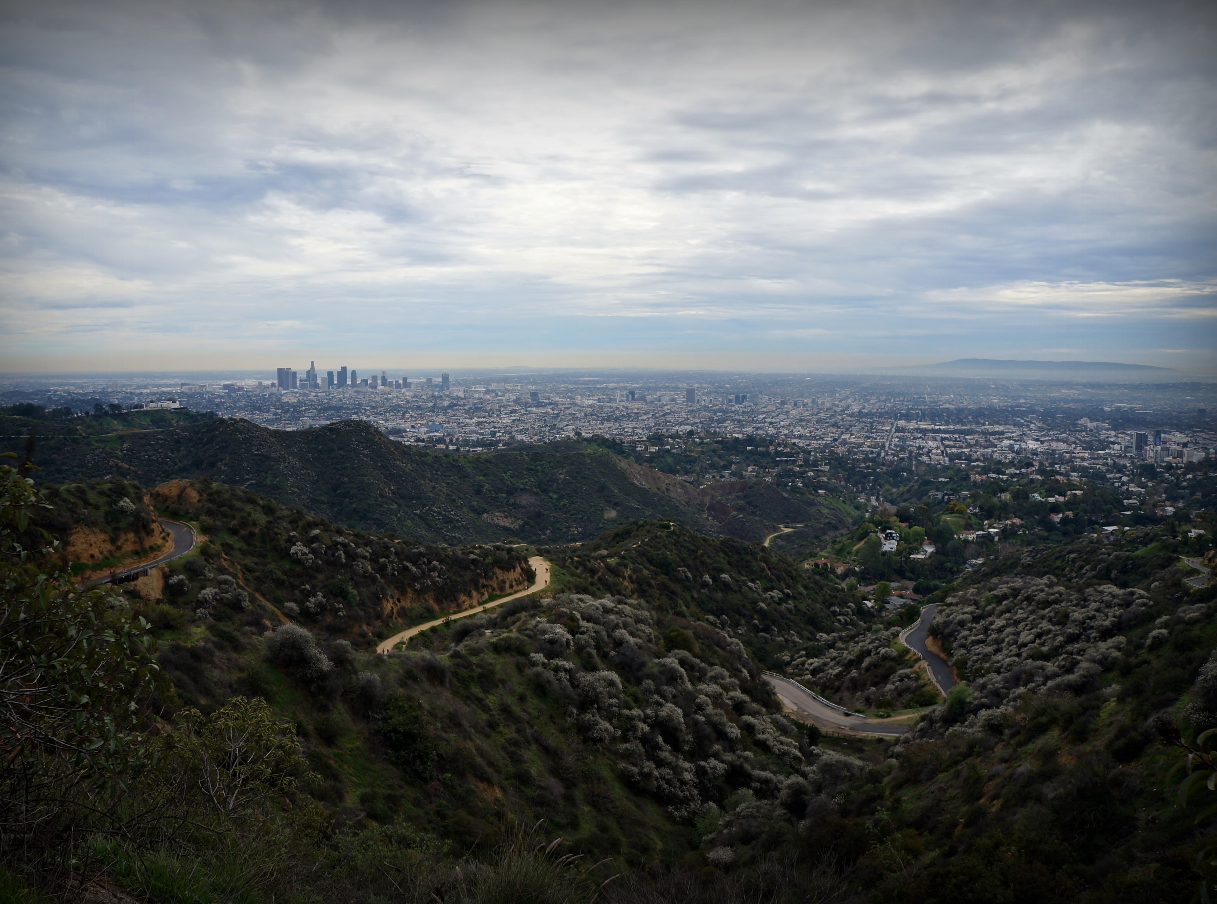 angeles, city, losfeliz, beauty in nature, United States, outdoors, tree, brush, los, nature, cloud - sky, 4K, plant, building exterior, high angle view, HD Wallpaper
