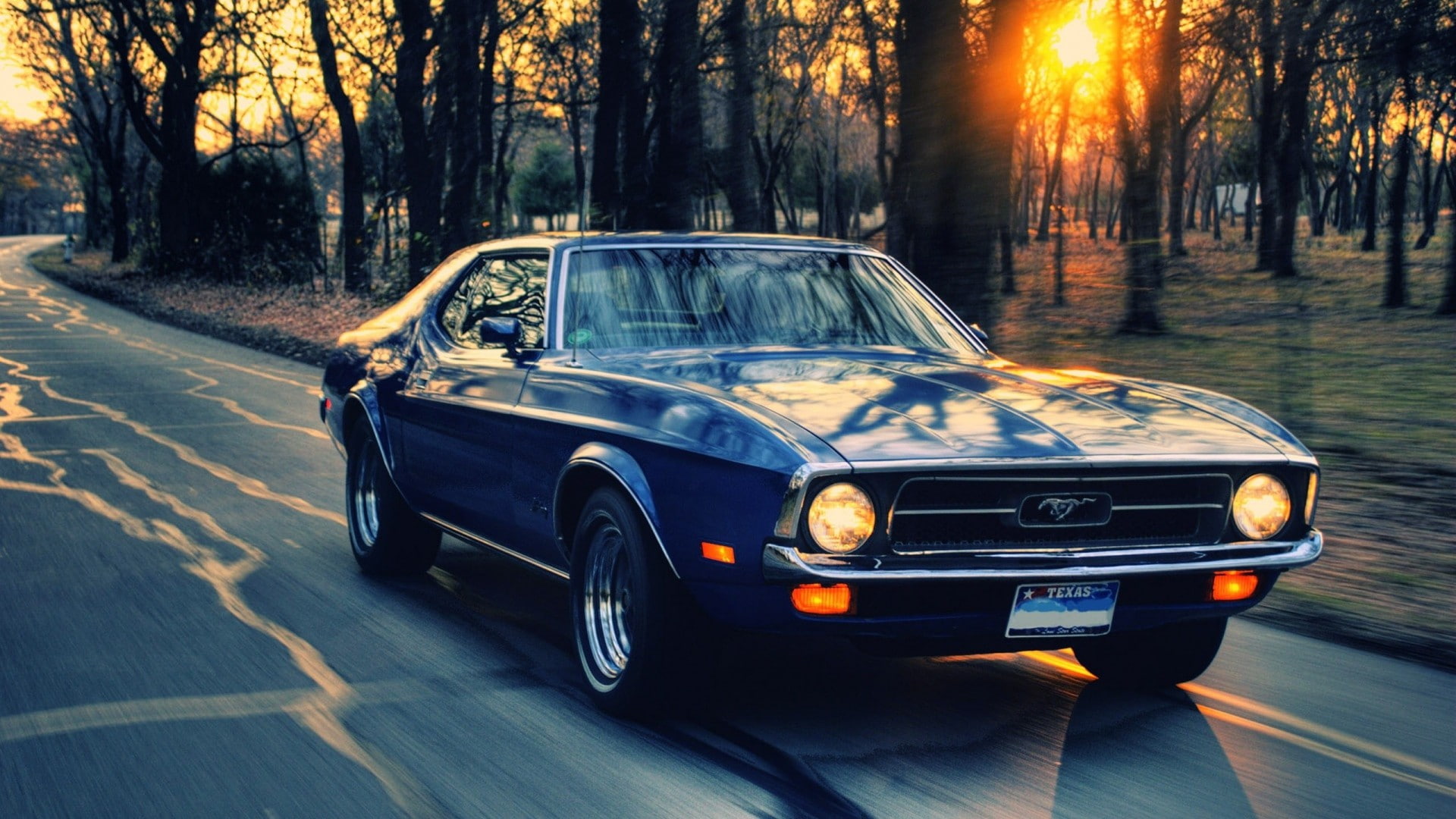 trees, car, sunset, road, 1080P, Ford, Ford Mustang, HD Wallpaper