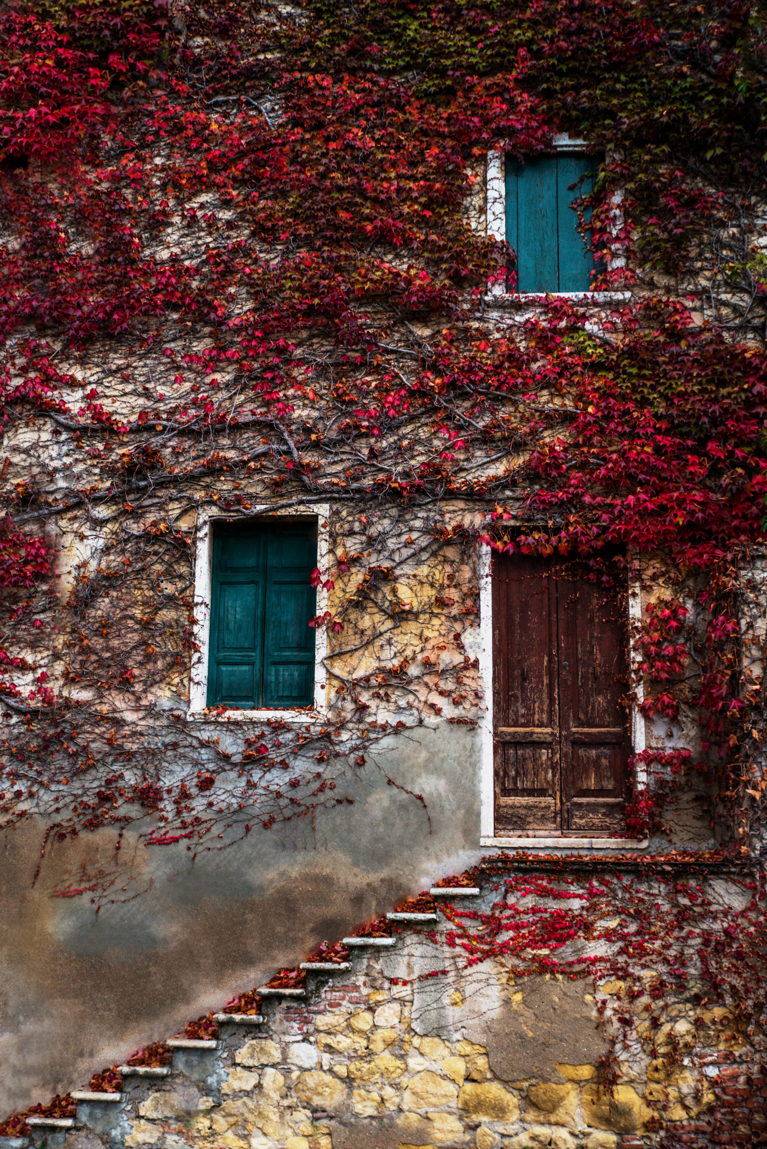 run-Down, climber, vine, dirty, facade, ancient, weathered, door, damaged, outdoors, broken, no People, architecture And Buildings, building Exterior, rustico, Phone HD Wallpaper