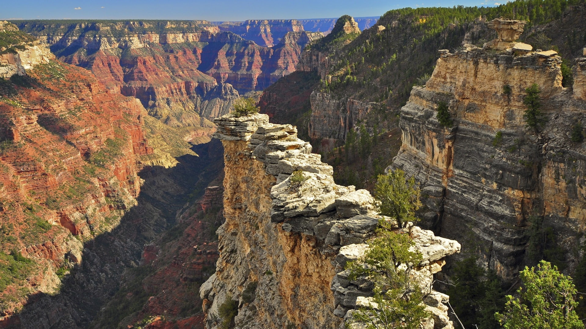 grand, park, arizona, yosemite, national, canyon, hd, 1080P, HD Wallpaper