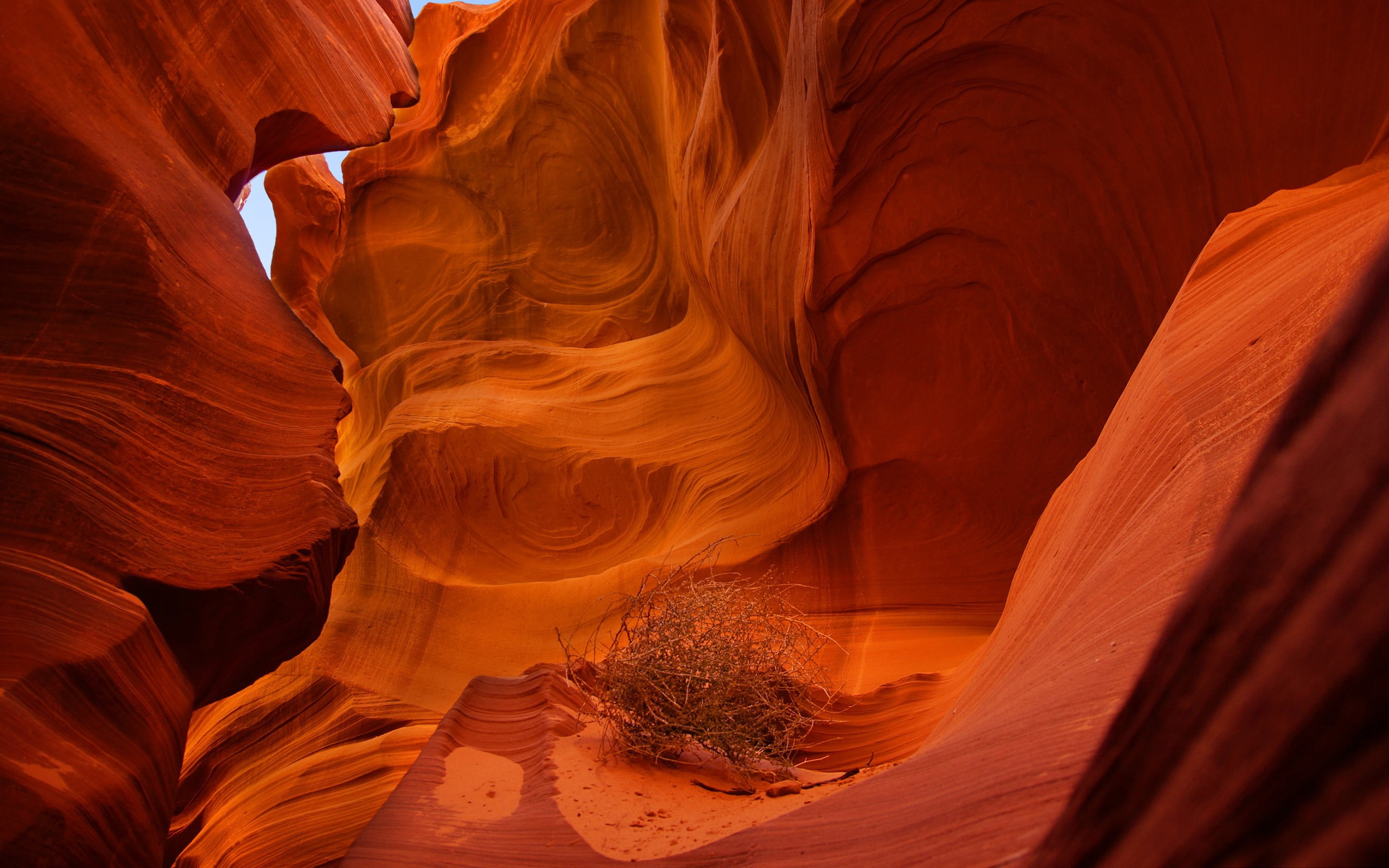 wal, lower, canyon, geology, climate, eroded, rock - object, backgrounds, beauty in nature, travel, no people, pattern, rock, hd, physical geography, inside, HD Wallpaper