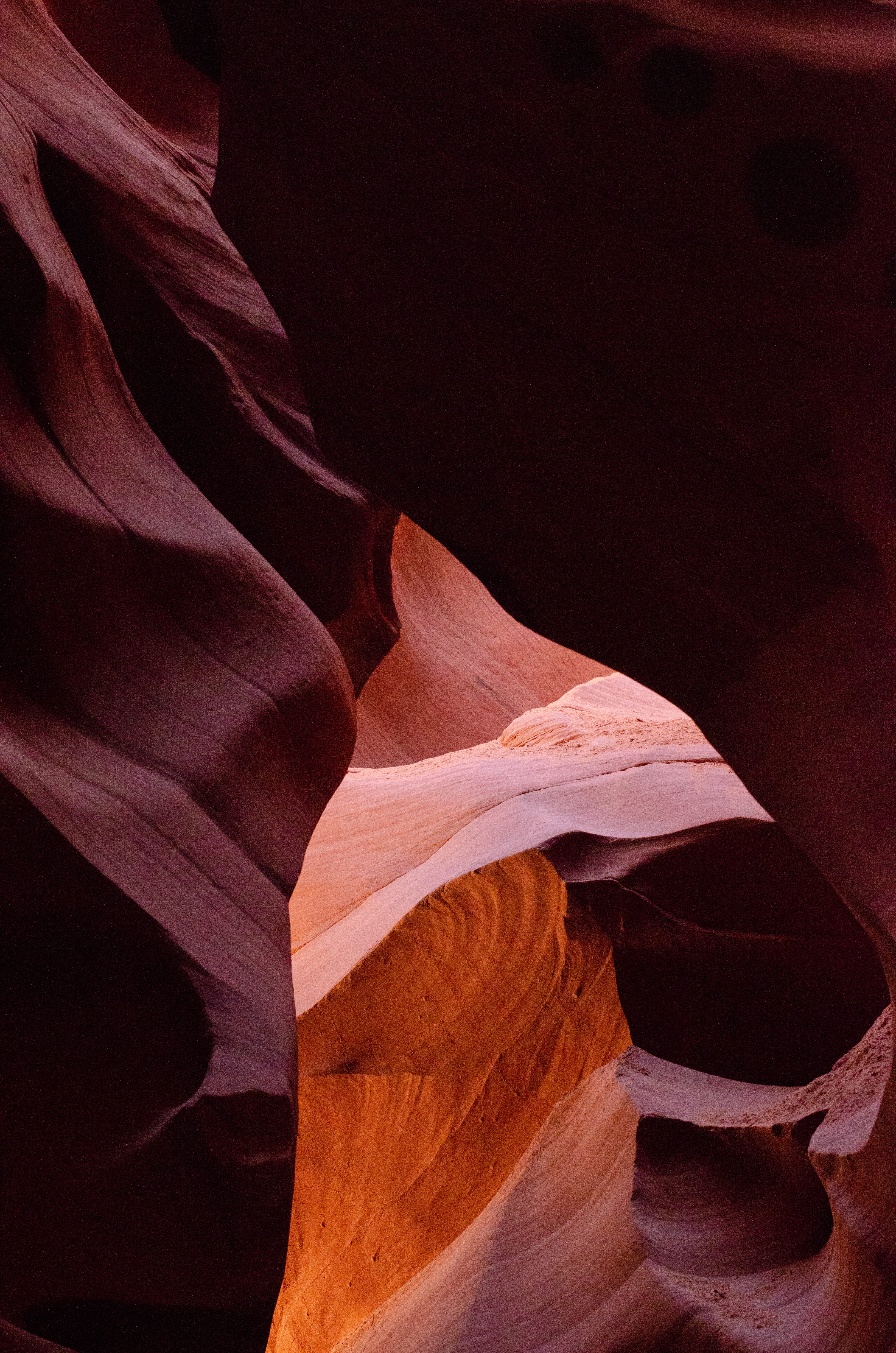 nebula, human, day, antelope canyon, rock formation, canyon, national park, crypt, universe, space, cave, gradients, flower, no people, natural condition, Phone HD Wallpaper