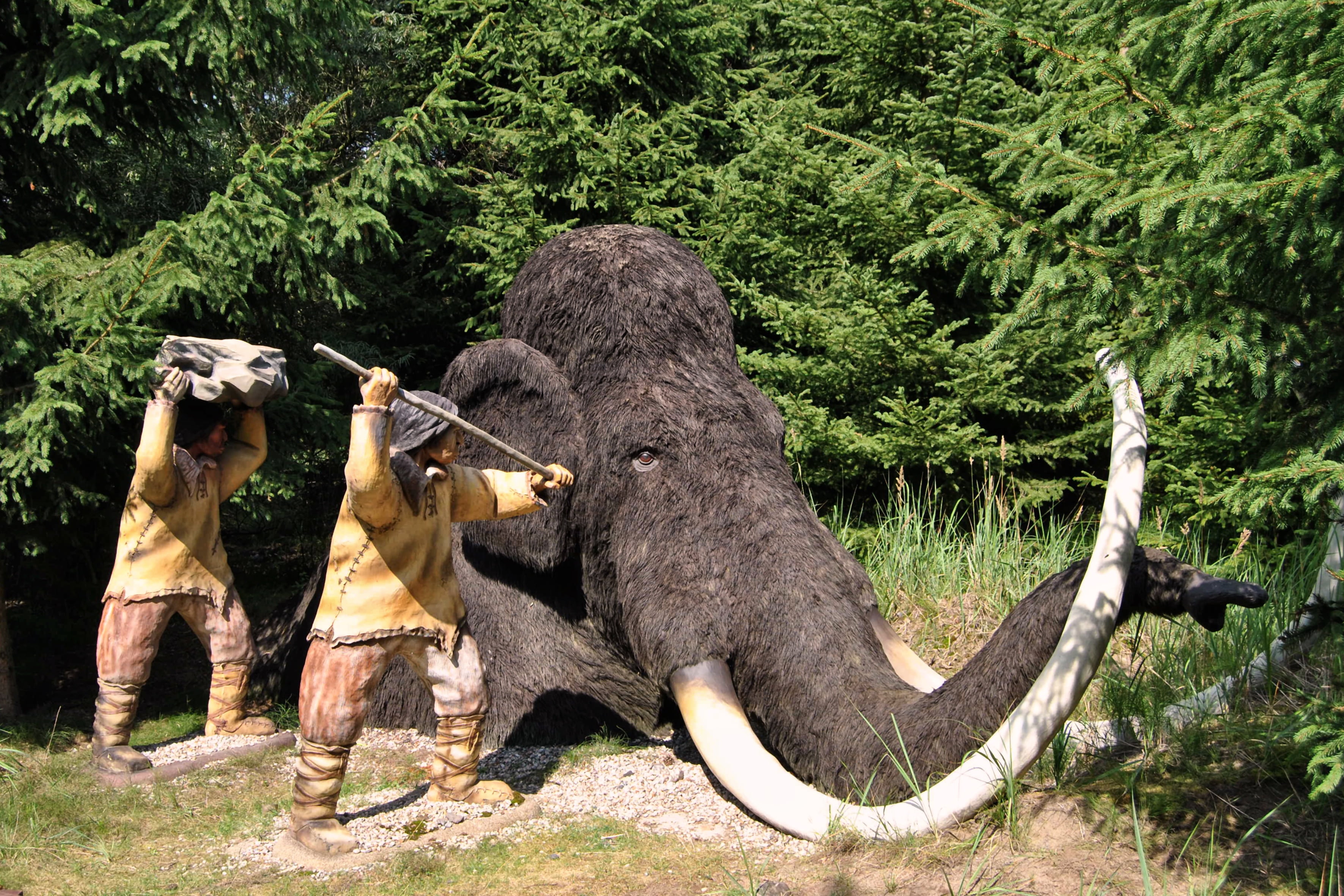 one animal, mammal, animals in the wild, primeval park, herbivorous, land, woolly, forest, domestic animals, nature, elephant, animal themes, day, animal sculpture, HD Wallpaper