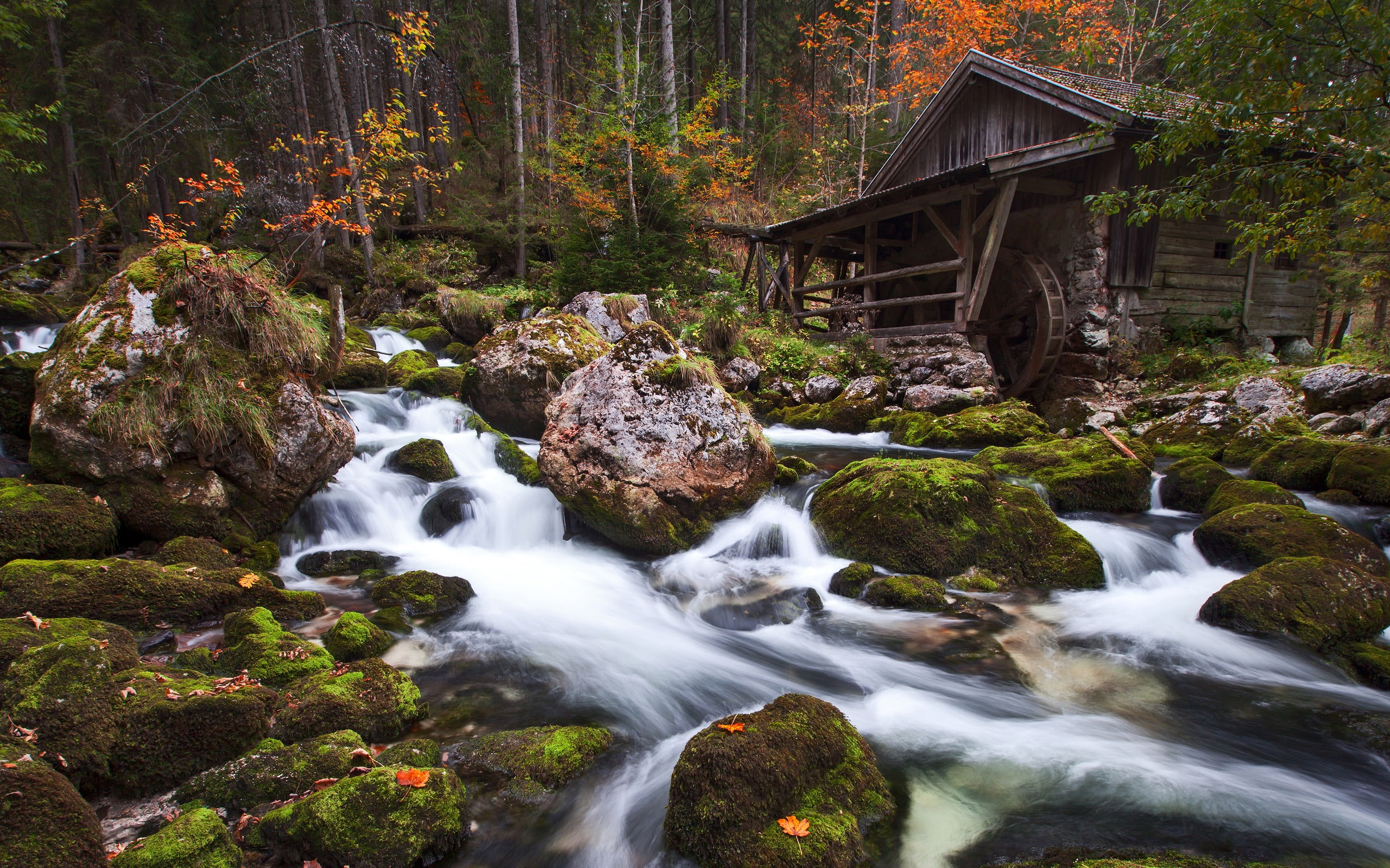 solid, beauty in nature, stream - flowing water, forest, scenics - nature, 2K, nature, primeval, tree, rock, photo, hd, long exposure, flowing, HD Wallpaper