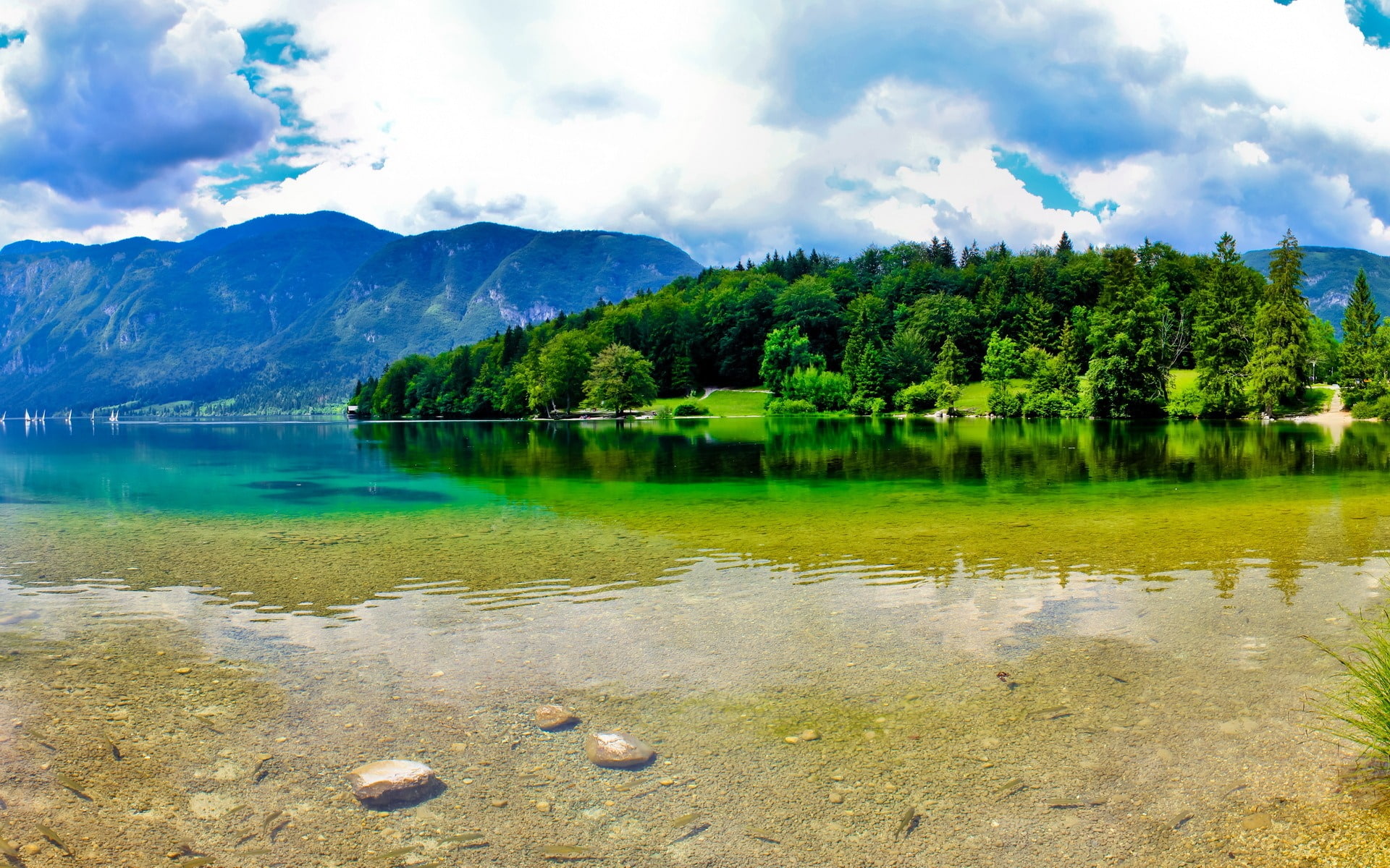 green color, non-urban scene, 1080P, lake, scenery, no people, water, idyllic, tree, primeval, photo, hd, cloud - sky, scenics - nature, mountain, beauty in nature, HD Wallpaper