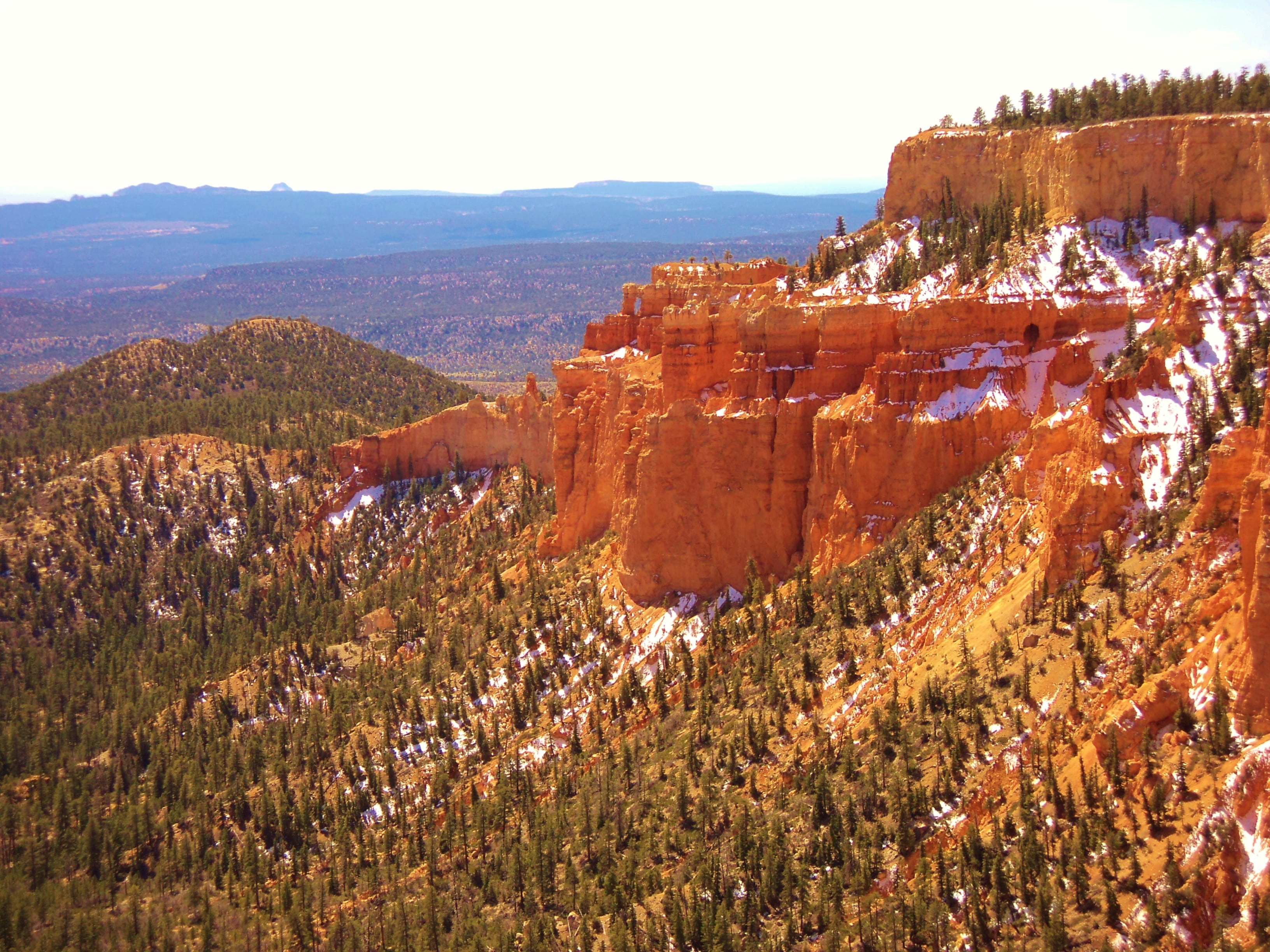 tranquil scene, united, bryce canyon, erosion, travel destinations, red, tourist, scenery, architecture, valley, day, 2K, mountain, plant, america, tree, HD Wallpaper