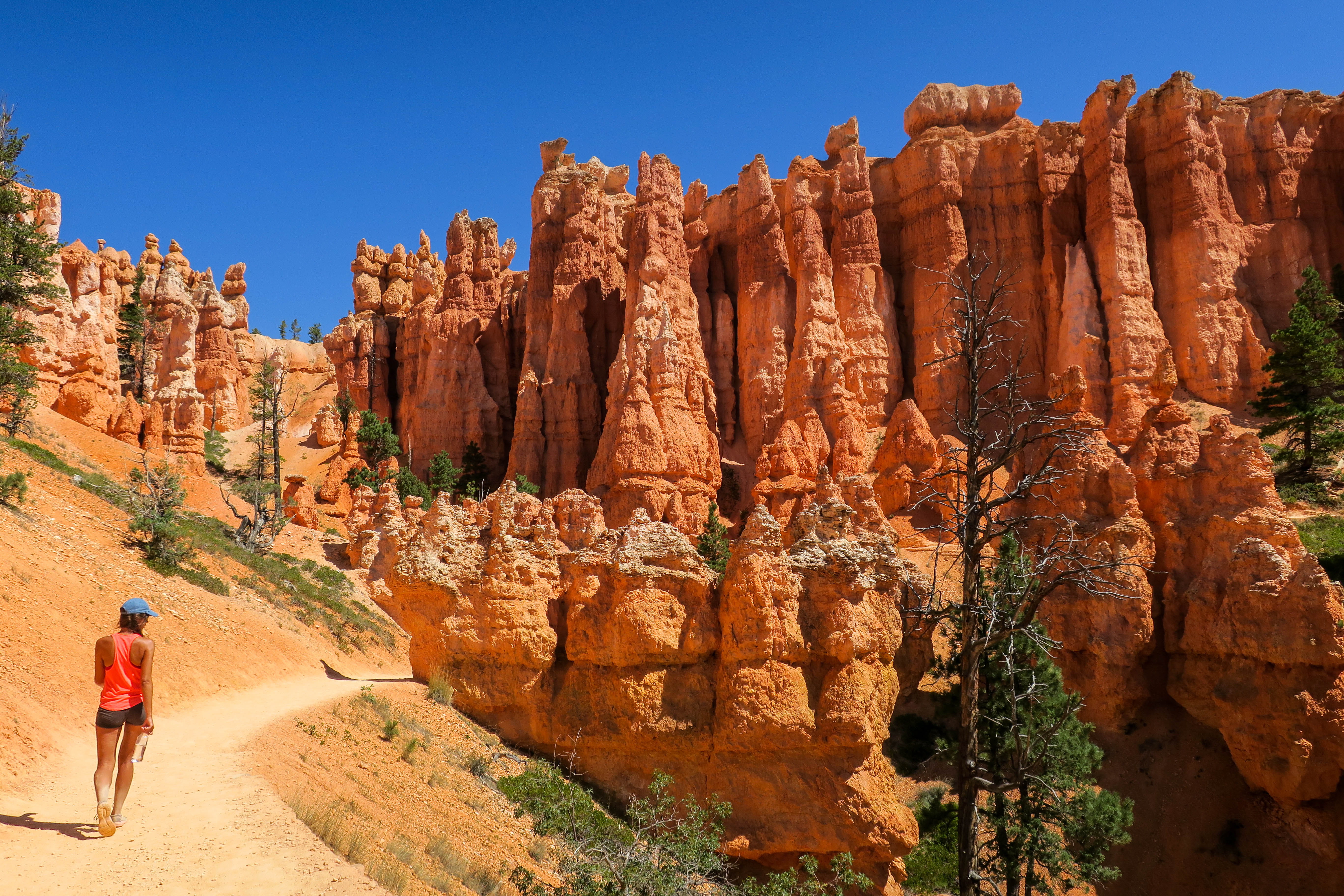 men, outdoors, red rocks, travel, bryce, blue sky, sky, eroded, pink, rock - object, formation, rear view, walking, hiking, girl, united states, cap, physical geography, HD Wallpaper