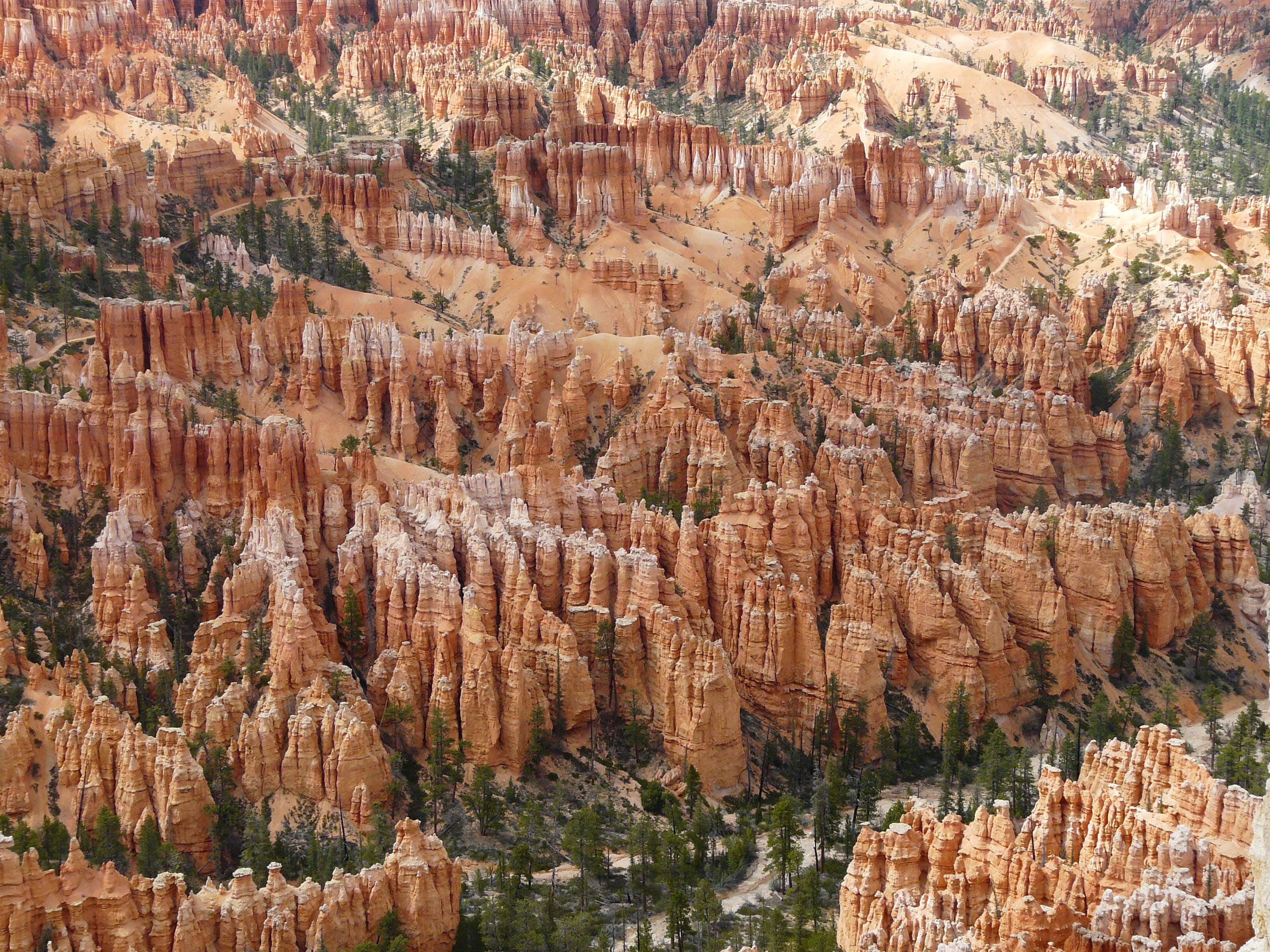 nature, sandstone, beauty in nature, geology, rock - object, non-urban scene, travel, tranquility, day, paunsaugunt, sand stone, bryce canyon, pyramid rock, HD Wallpaper