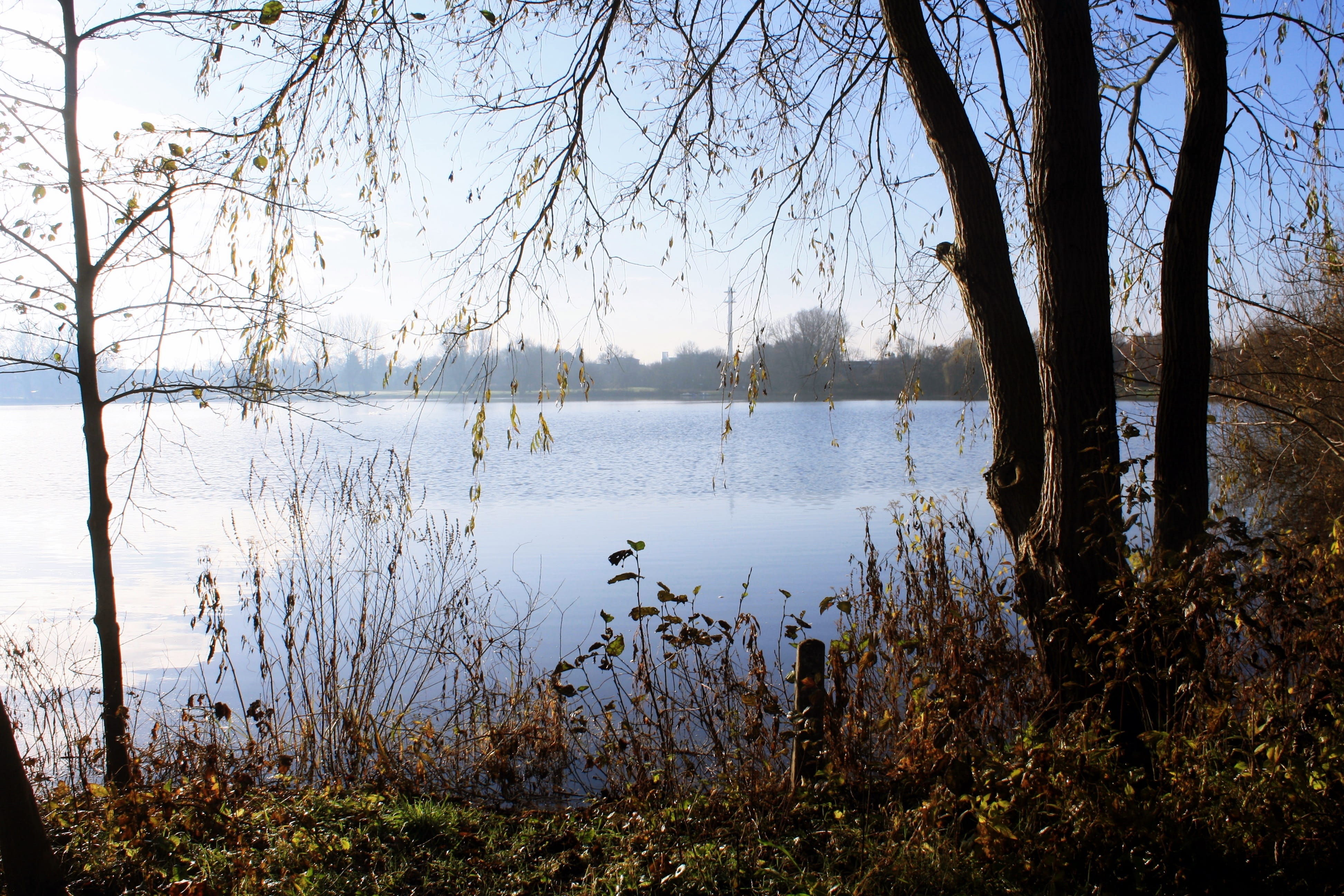 bremervörde, lake, outdoors, autumn, tree, sky, waters, no people, nature, beauty in nature, non-urban scene, reflection, landscape, plant, tranquil scene, HD Wallpaper