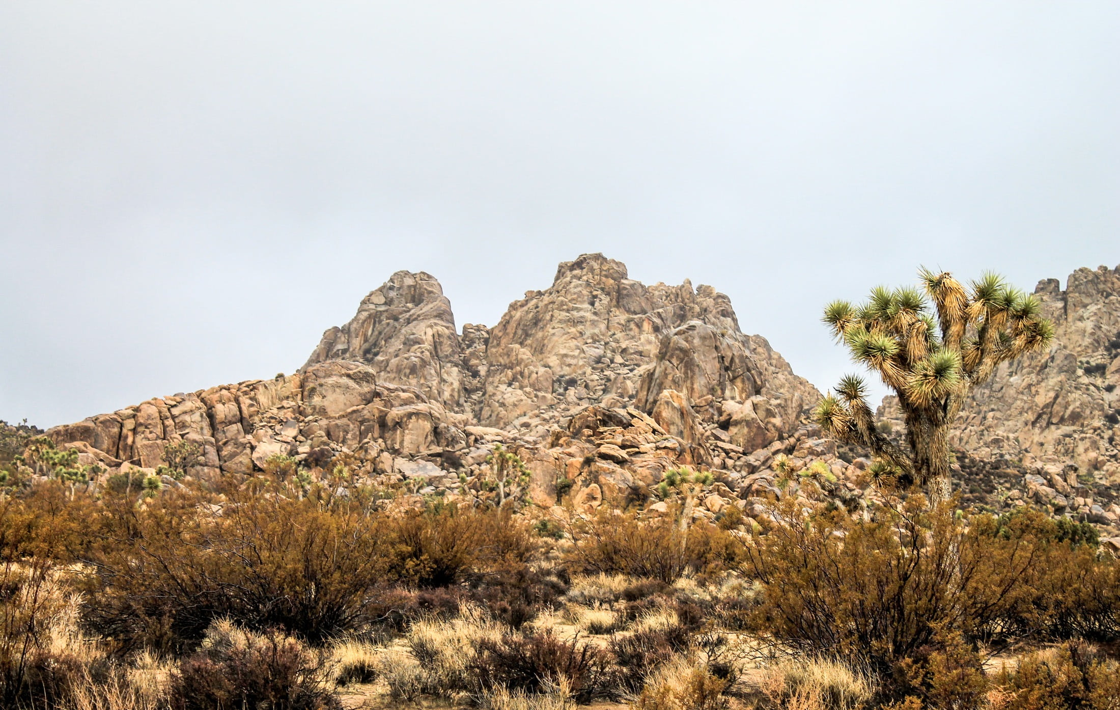 arizona, nature, america, eroded, outdoors, travel, green, mountain, california, outdoor, rock - object, tree, united, scenics, plant, park, natural, arid climate, HD Wallpaper