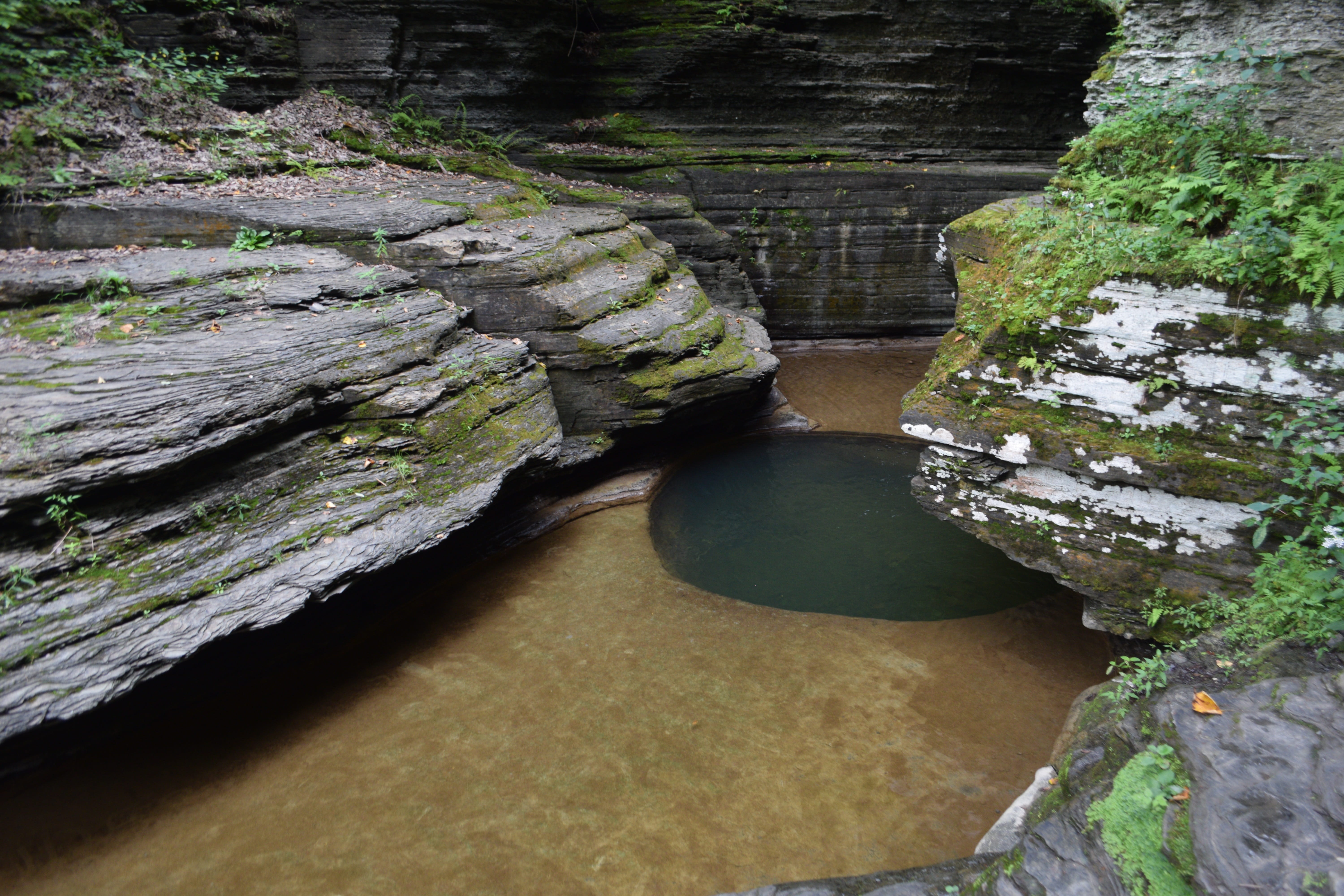 rock formation, river, tranquil scene, swim, stone, motion, layers, tree, waterfall, solid, pool, day, forest, outdoors, erosion, flowing, water, no people, HD Wallpaper