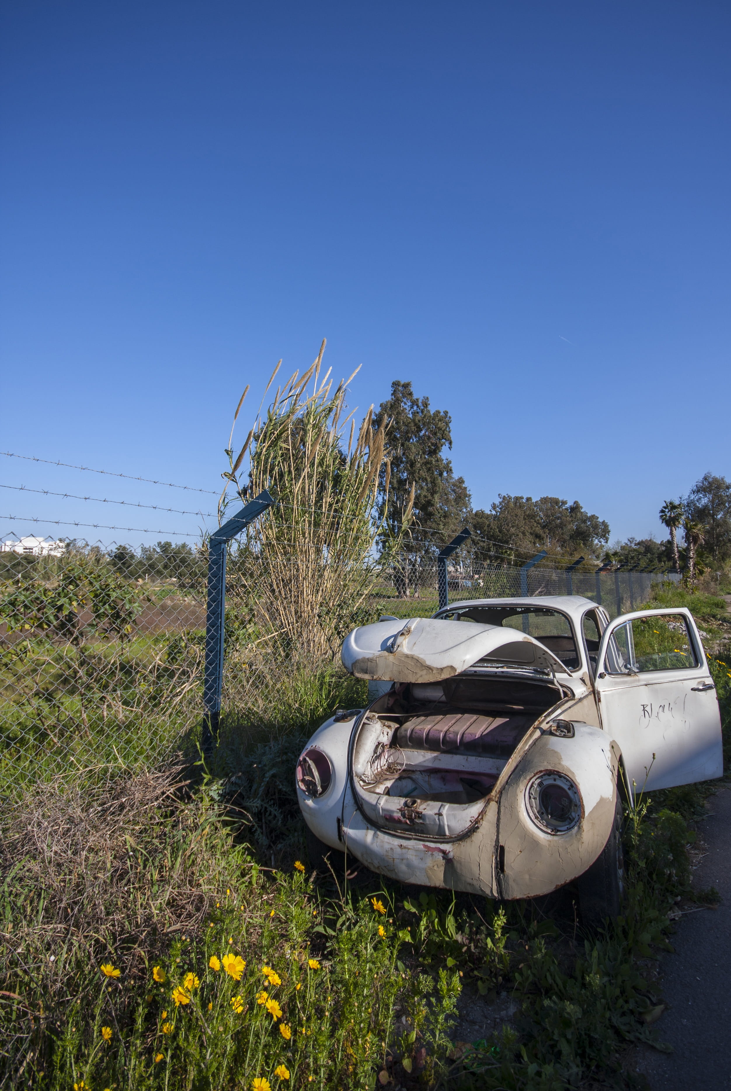 classic, land, bug, copy space, Scrap, vw, mode of transportation, white, plant, road, motor vehicle, beautiful, Old, land vehicle, sky, rural, classic car, Phone HD Wallpaper