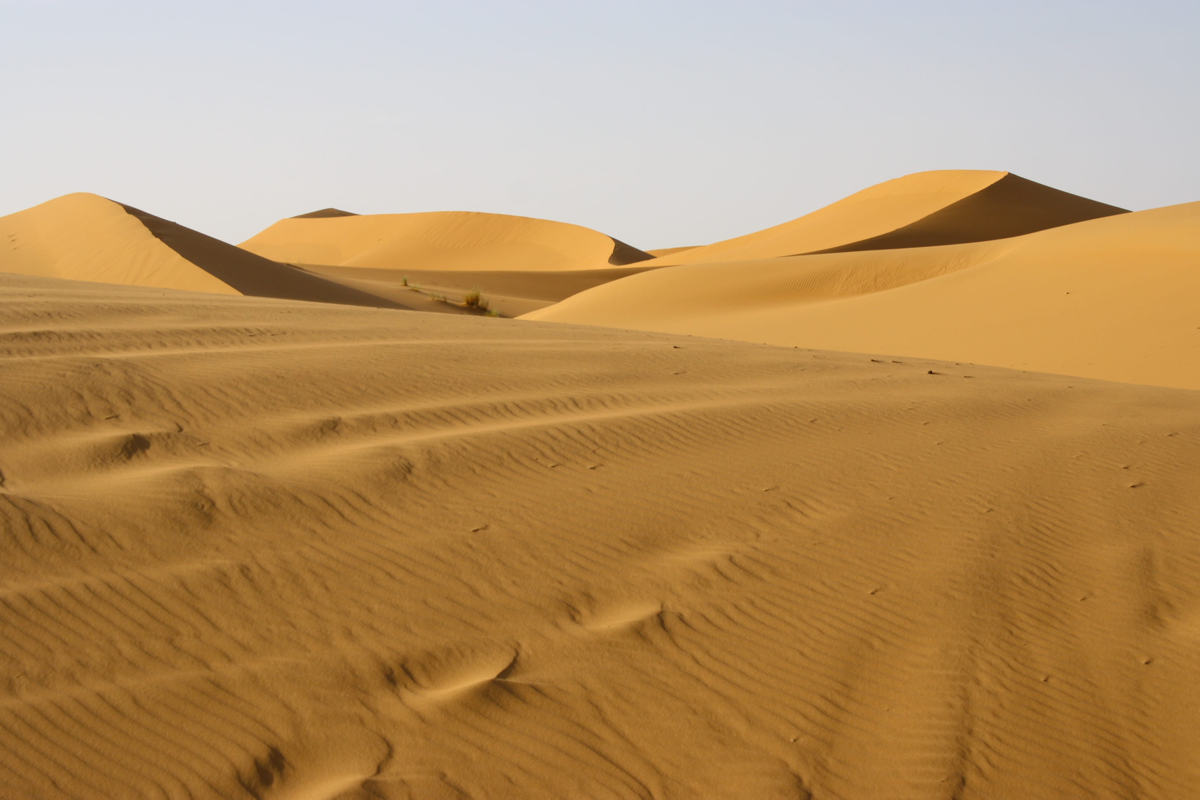 day, sand, remote, no people, travel, beauty in nature, photo, daytime, adventure, sand dune, canonrebelx, scenics - nature, goout, desert, sky, non-urban scene, HD Wallpaper