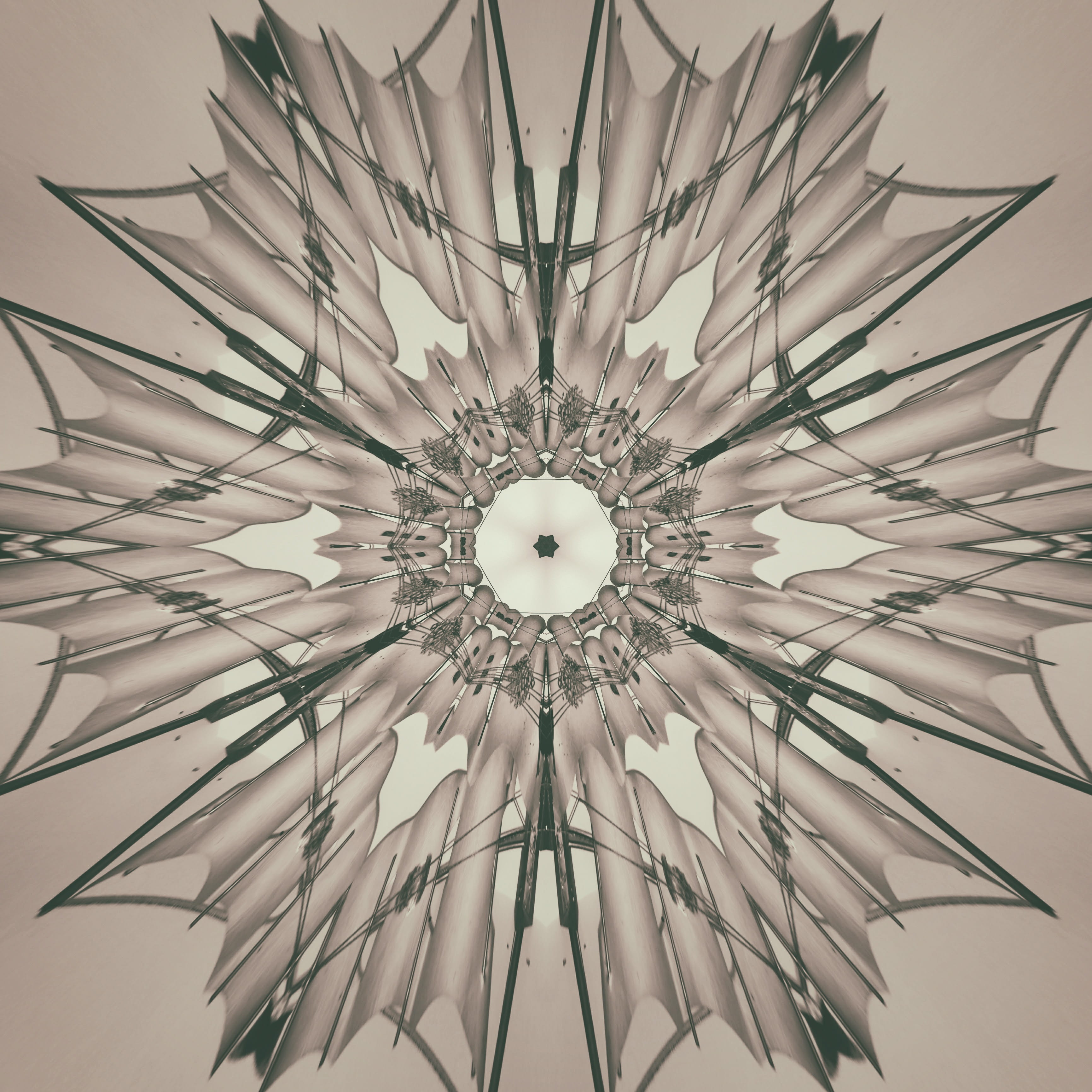 sheriff, web design, ornaments, shape, luxury, indoors, plant, artwork, circle, layout, glass - material, structure, directly below, chandelier, digital art, Phone HD Wallpaper
